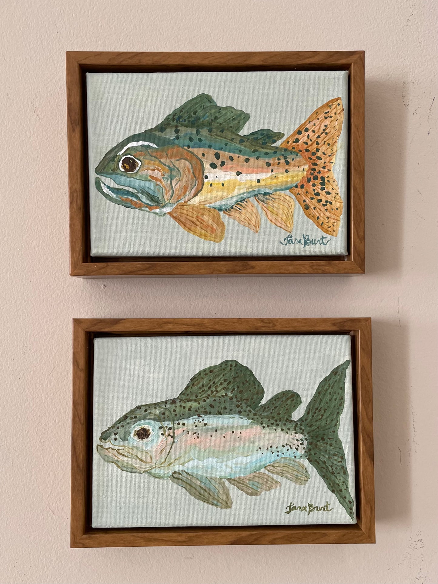 Cutthroat Trout on canvas