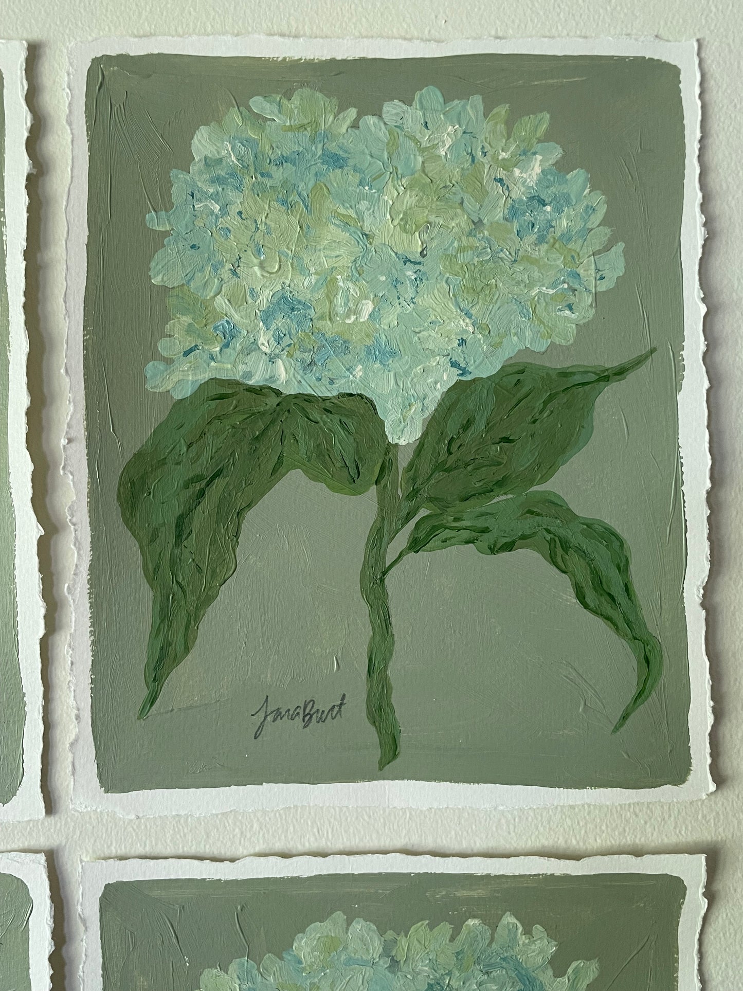 Blue Green Hydrangea on Sage