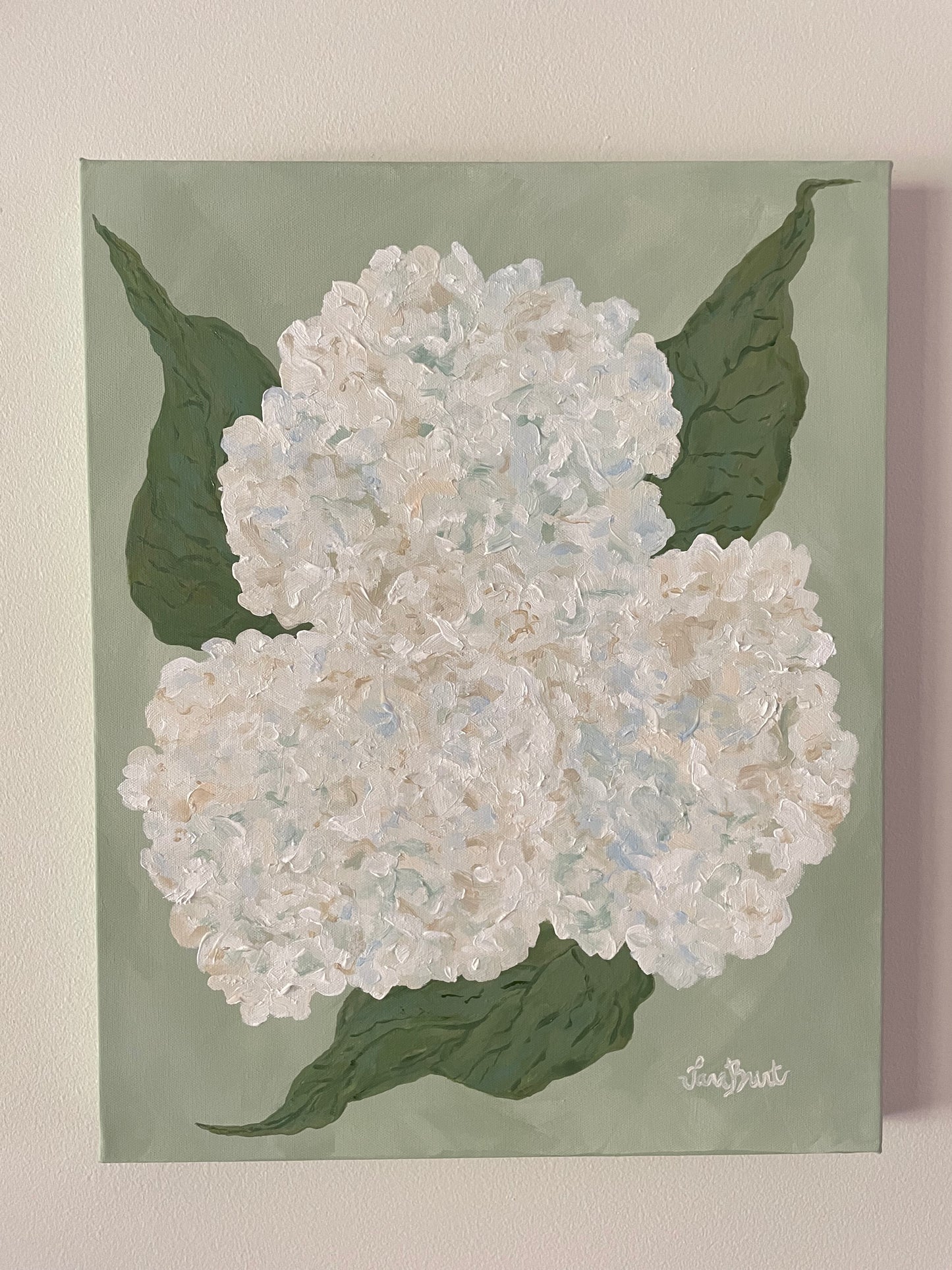 Summer Hydrangeas