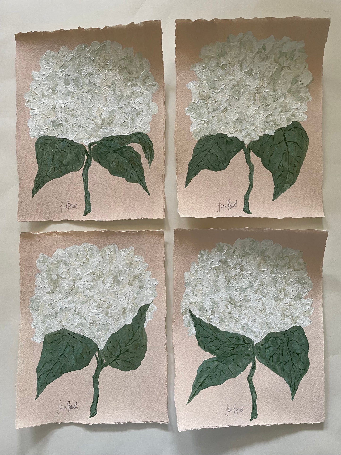 White Hydrangea on Pink no 2