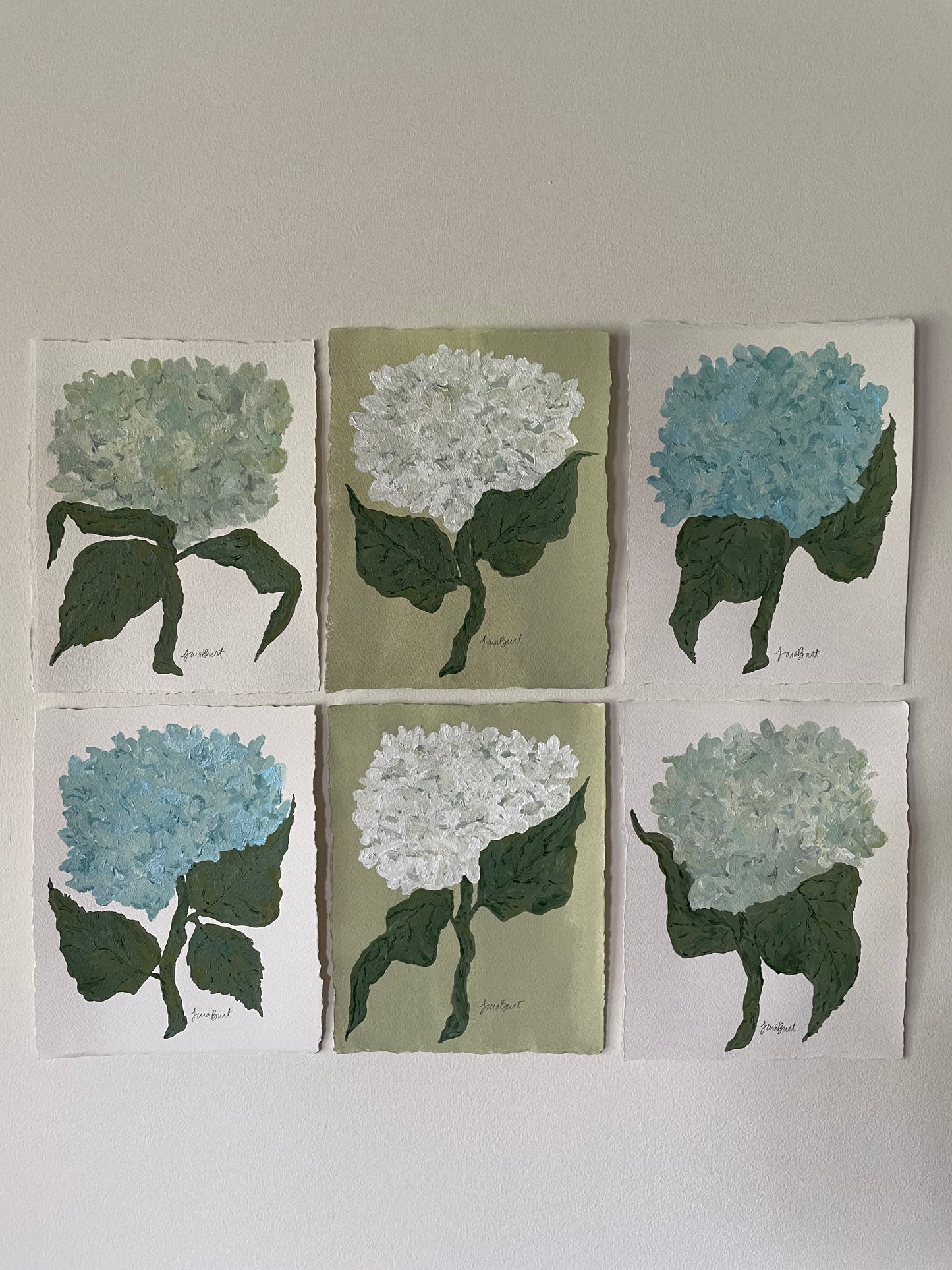 8x10 Blue Hydrangea on plain paper no. 1