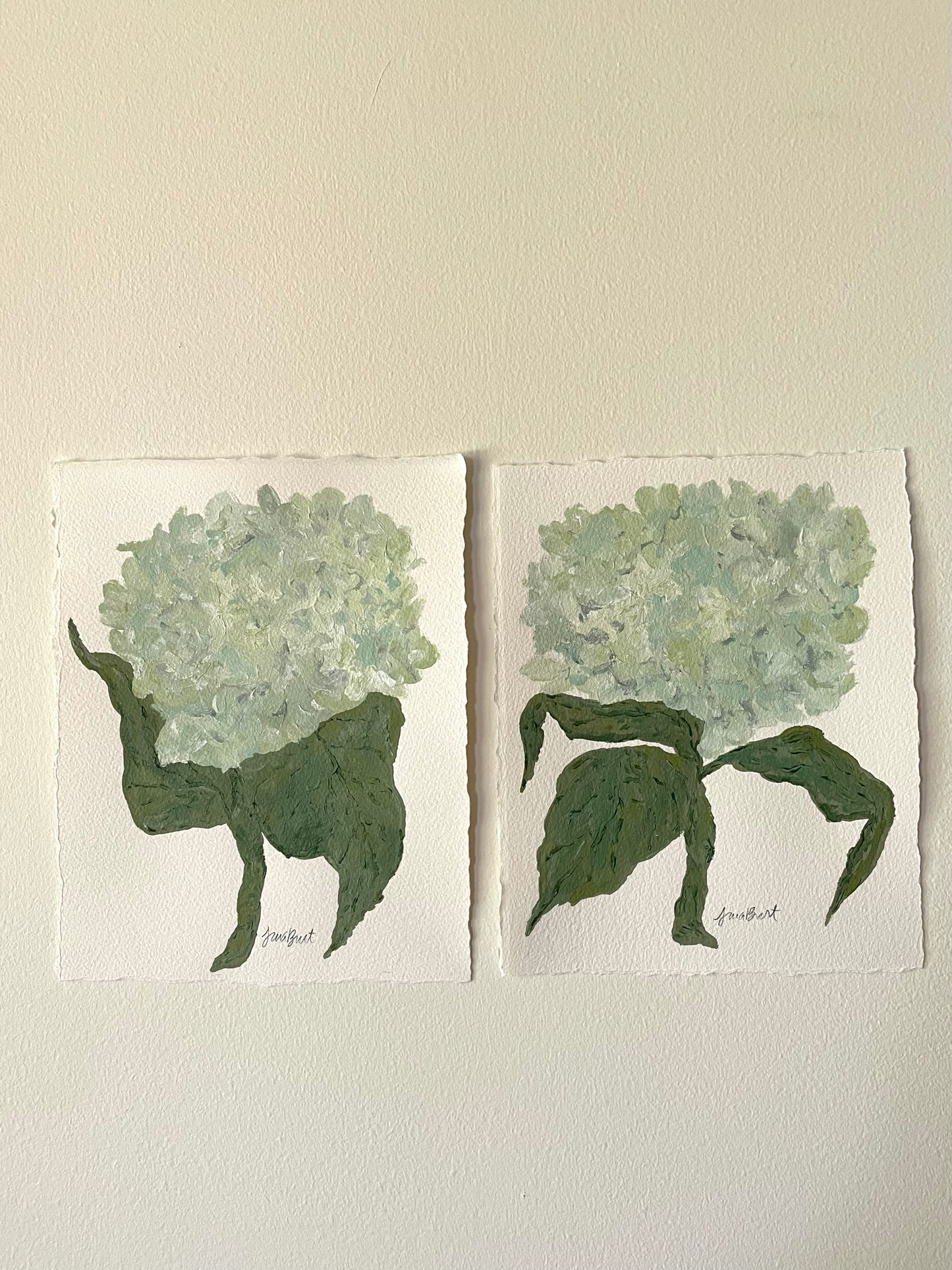 8x10 Soft Blue and Green Hydrangea on plain paper no. 2