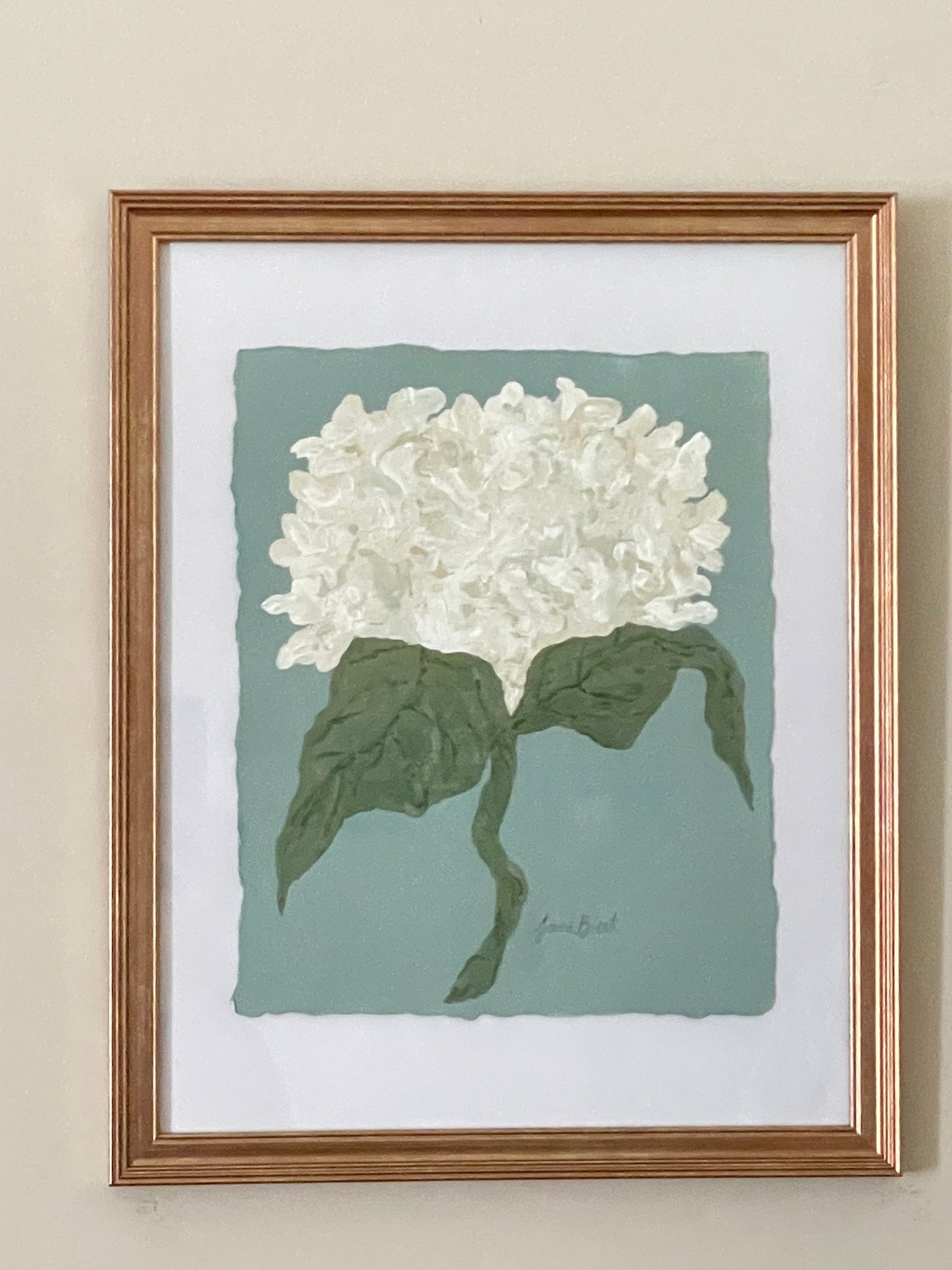 8x10 White Hydrangea on Blue paper no. 2