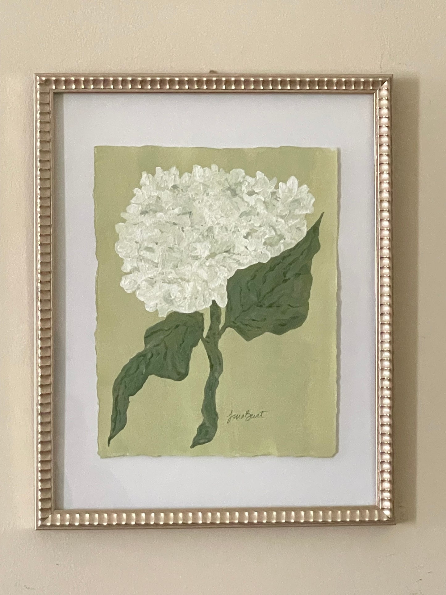8x10 White Hydrangea on green paper no. 1