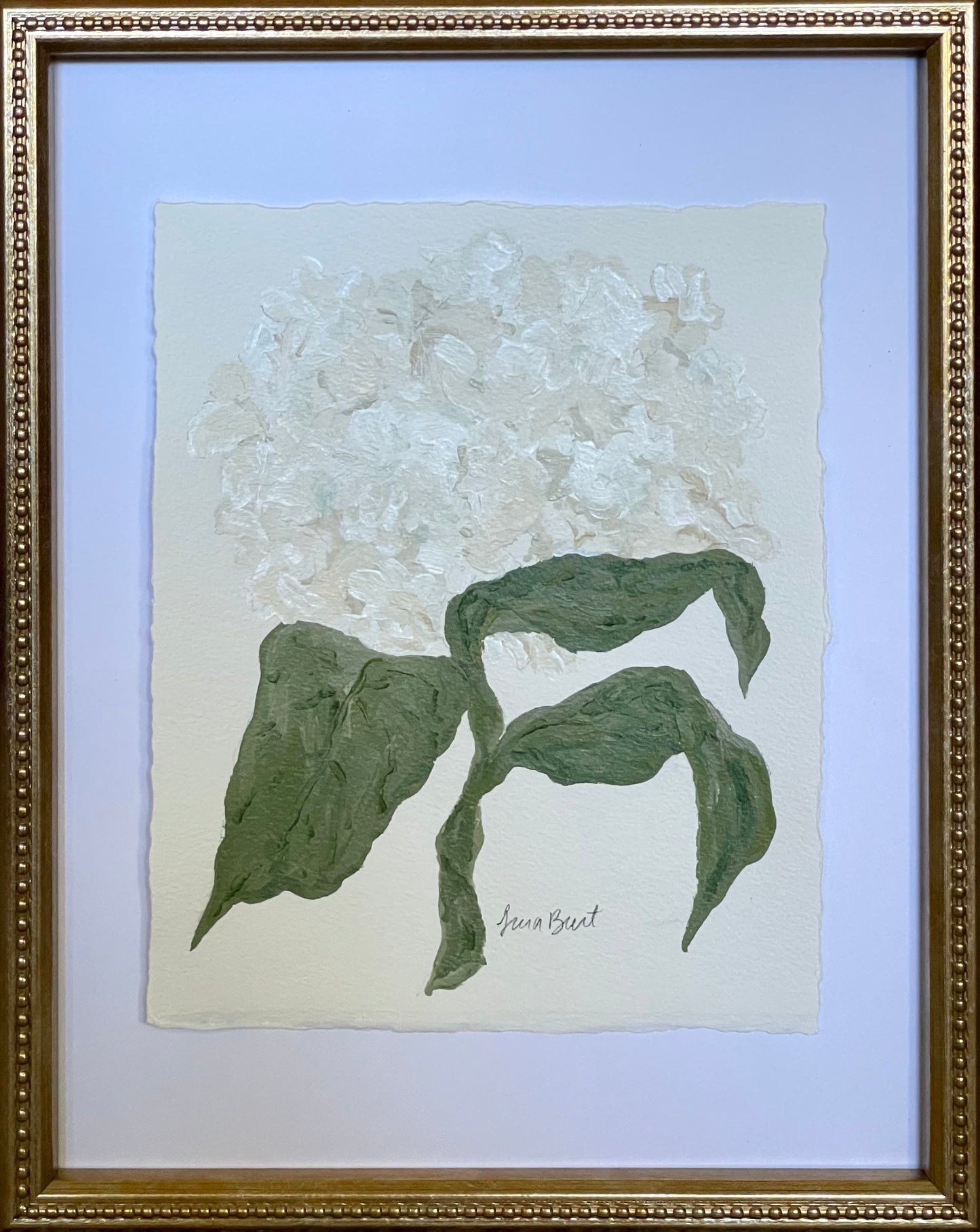 White Hydrangea no. 2