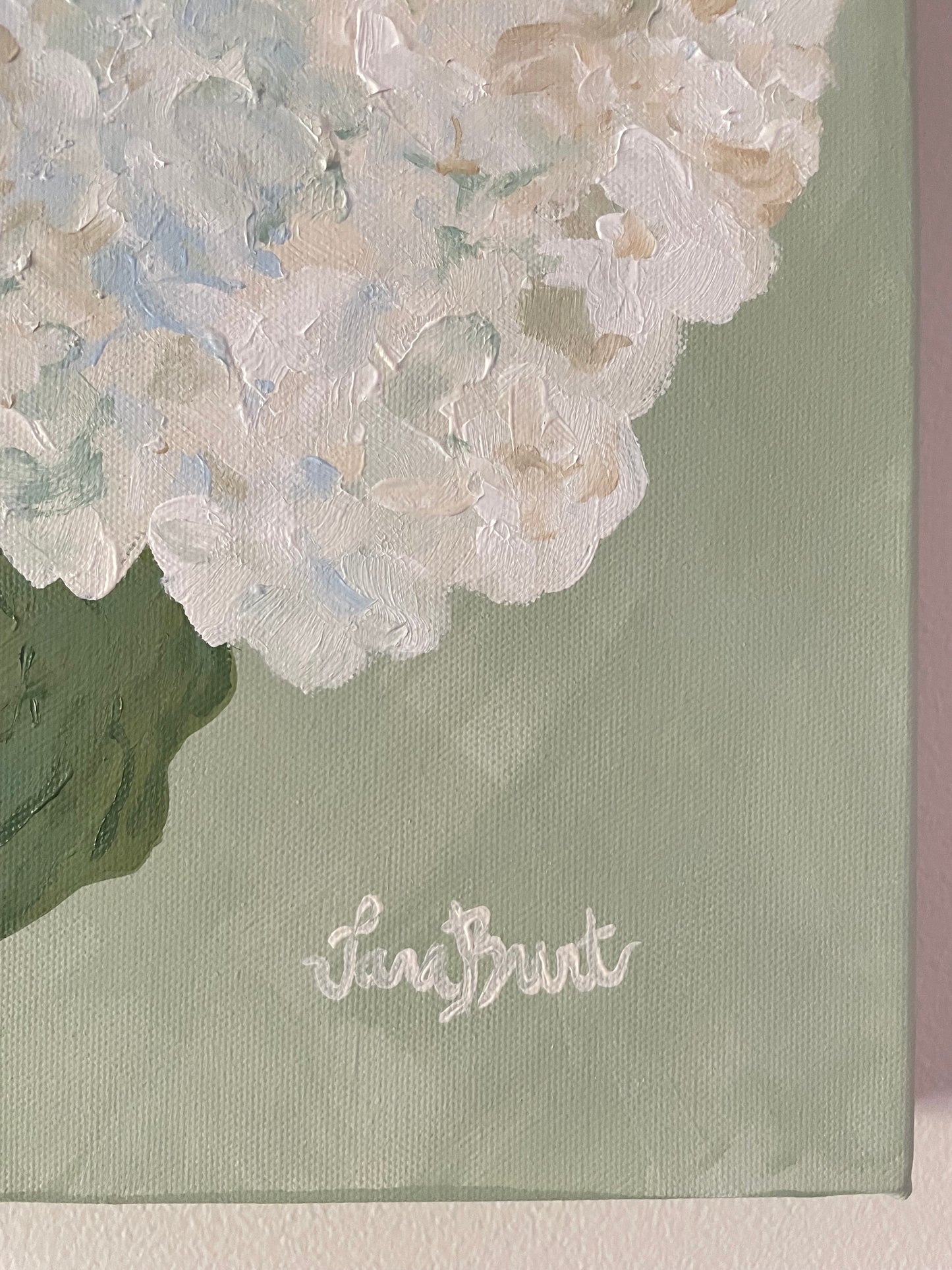 Summer Hydrangeas