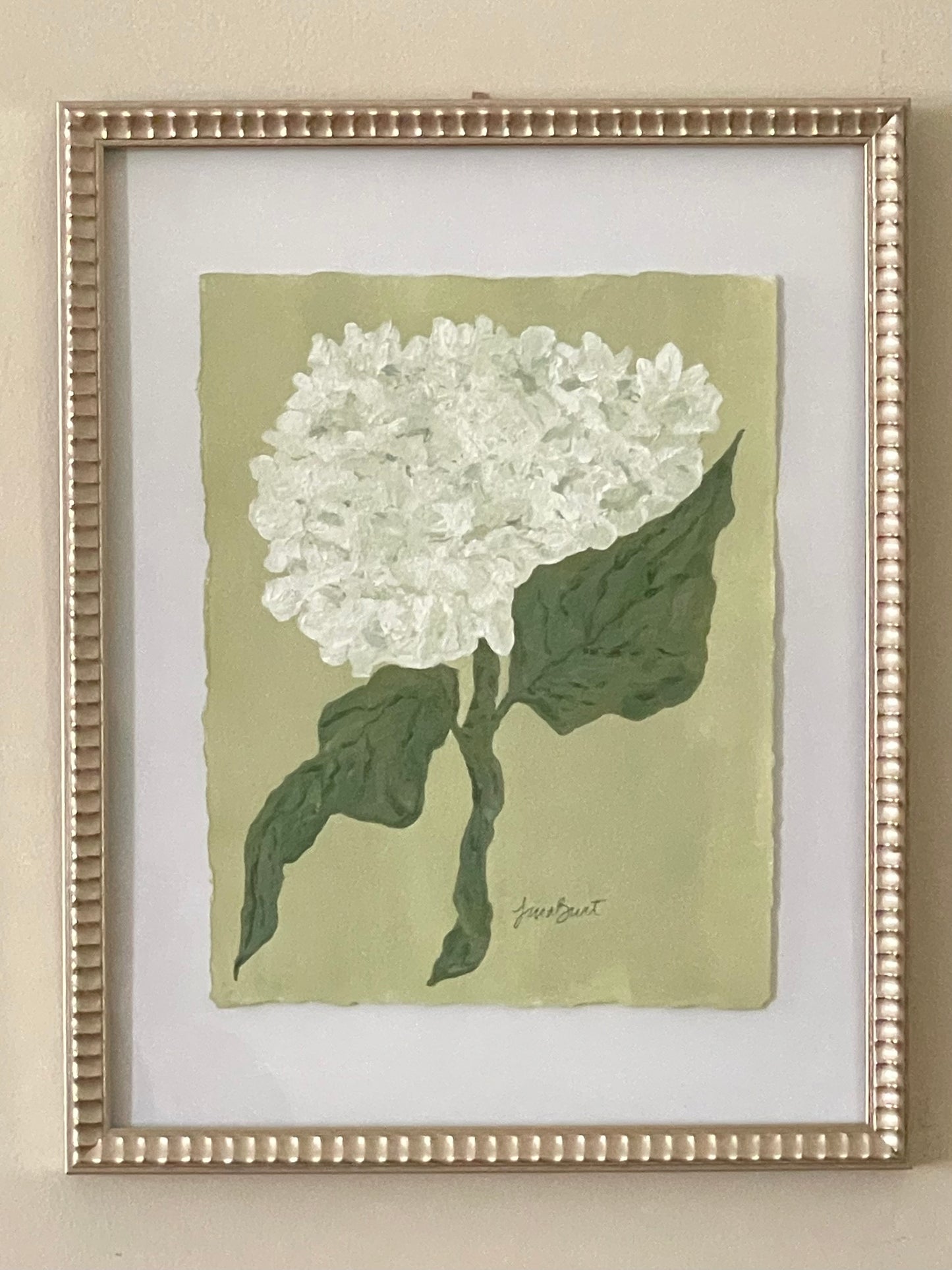 8x10 White Hydrangea on green paper no. 1