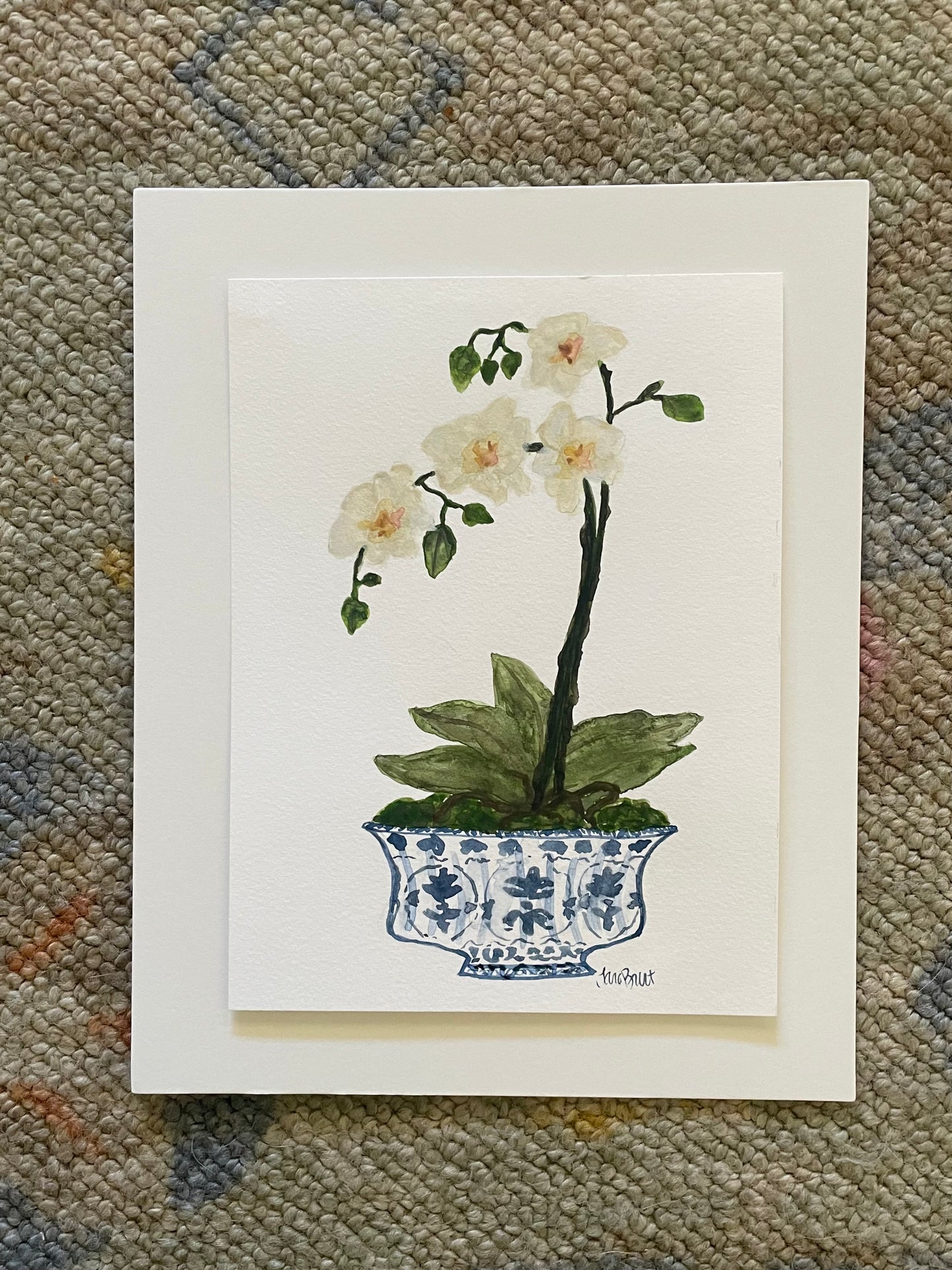 Orchid in Blue & White Bowl