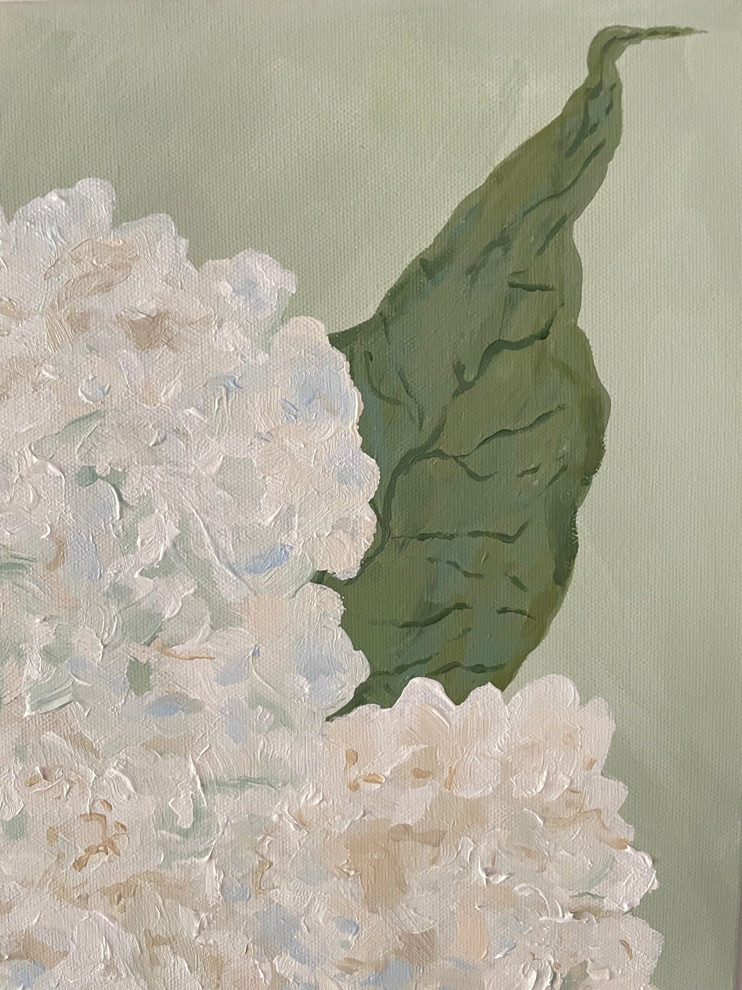Summer Hydrangeas