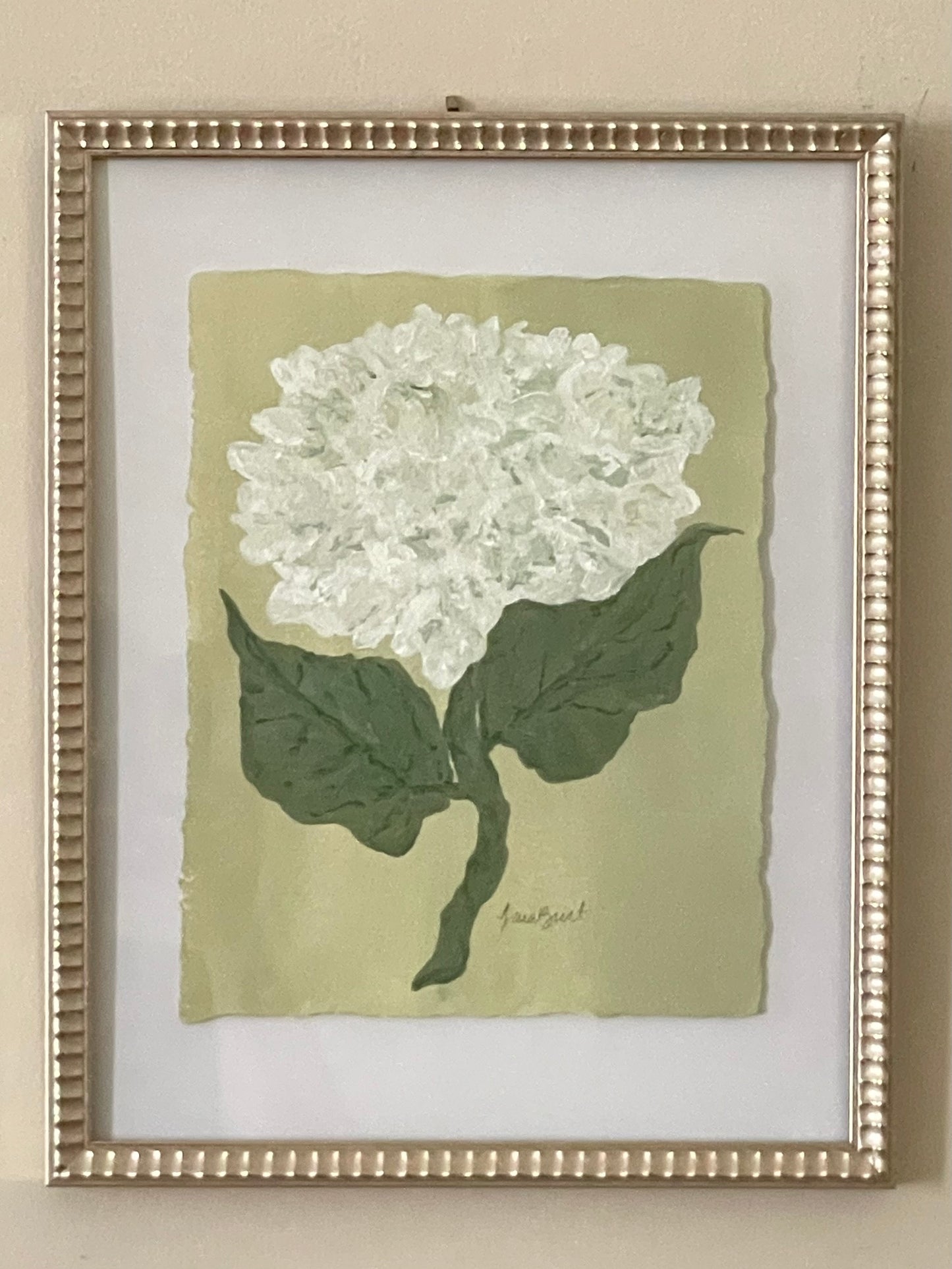 8x10 White Hydrangea on green paper no. 2