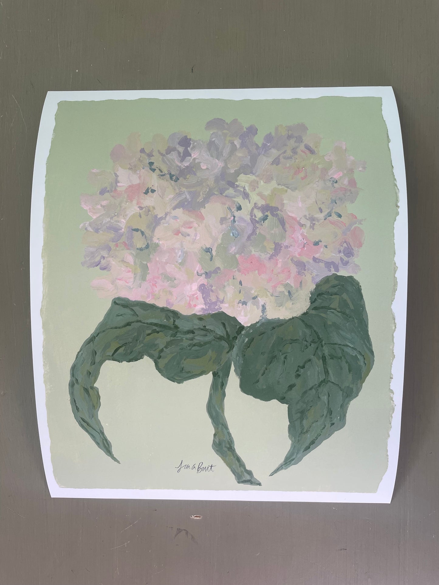 Pink hydrangeas on Green Print
