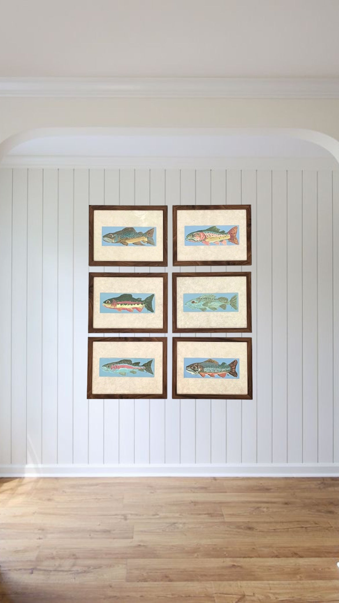 Fish Collection
