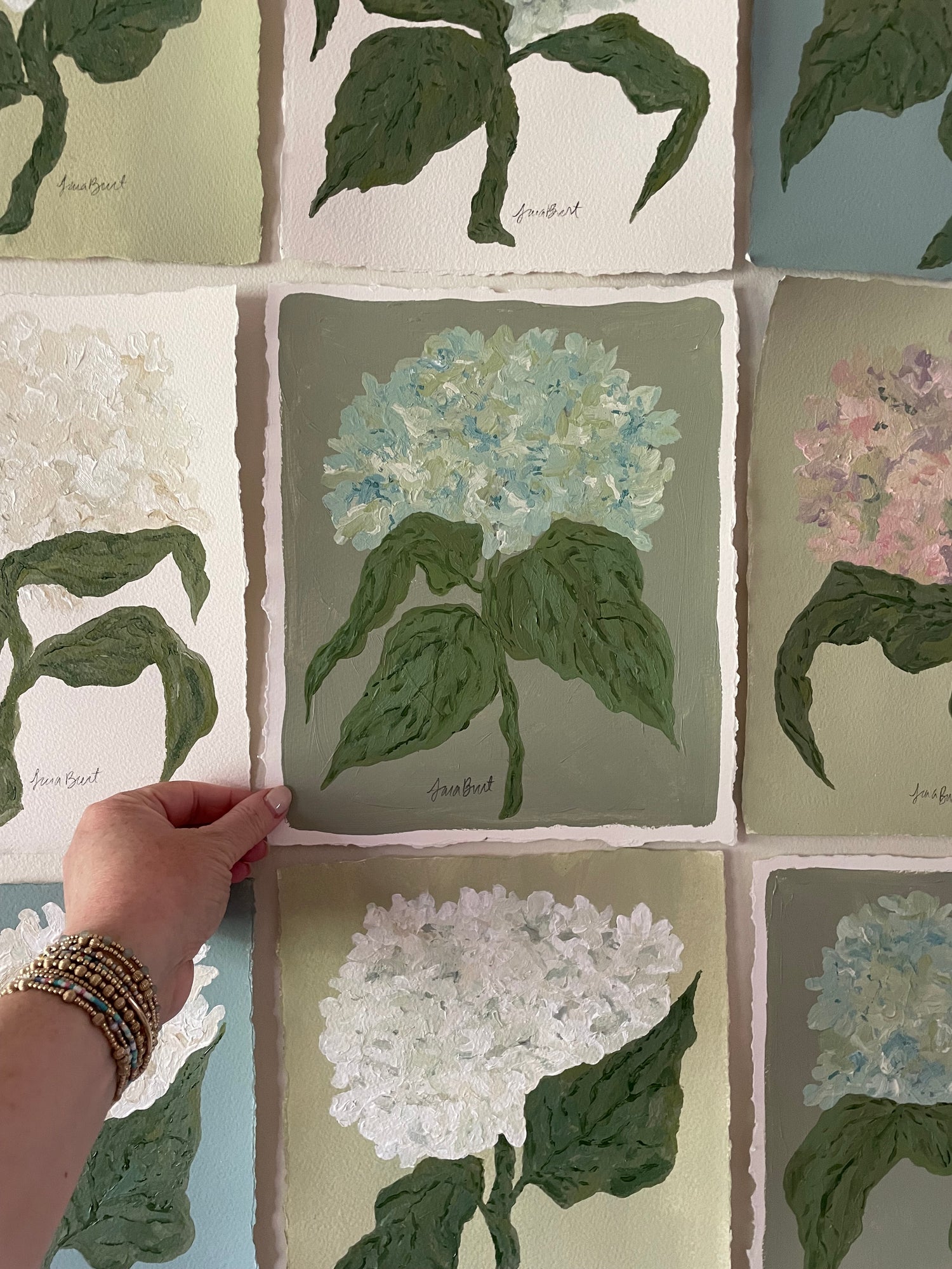 Summer Hydrangeas