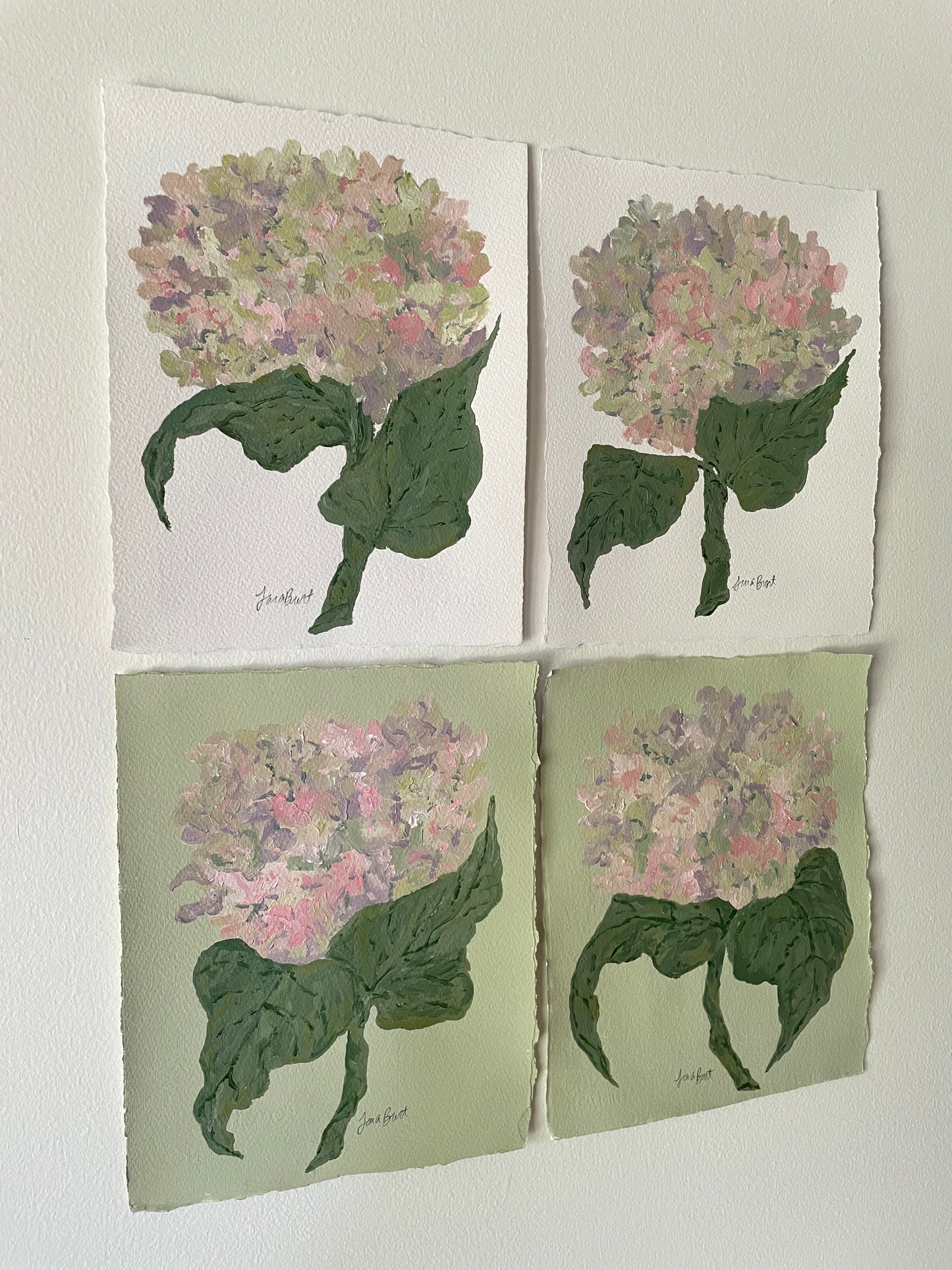 8x10 Pink & Purple Hydrangea on Green paper no. 2