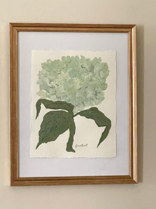 8x10 Soft Blue and Green Hydrangea on plain paper no. 2