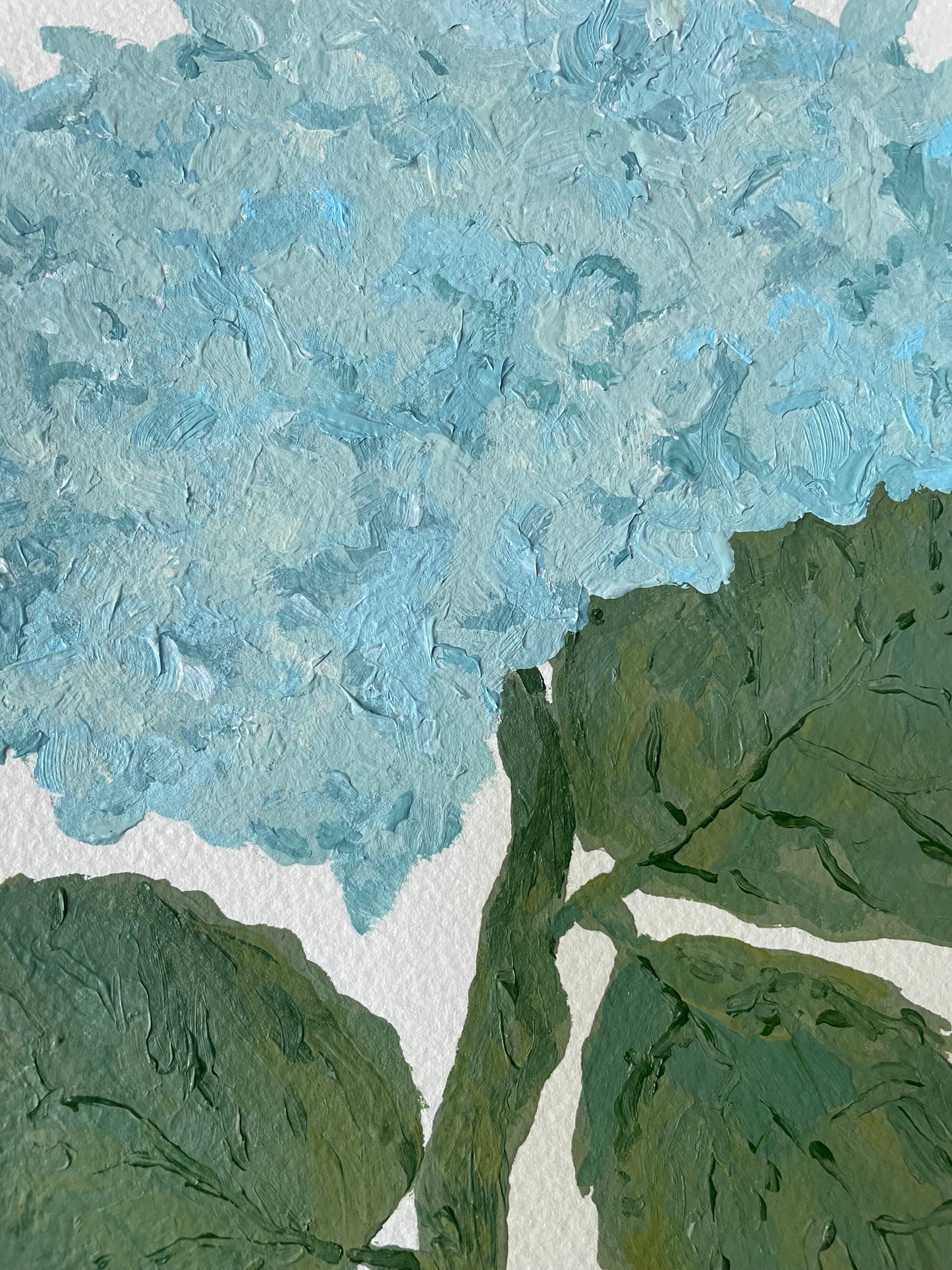 8x10 Blue Hydrangea on plain paper no. 1