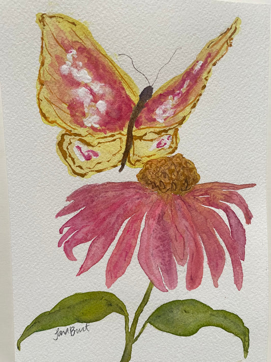 Butterfly on Cone Flower