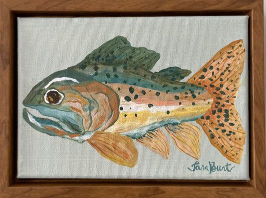 Cutthroat Trout on canvas