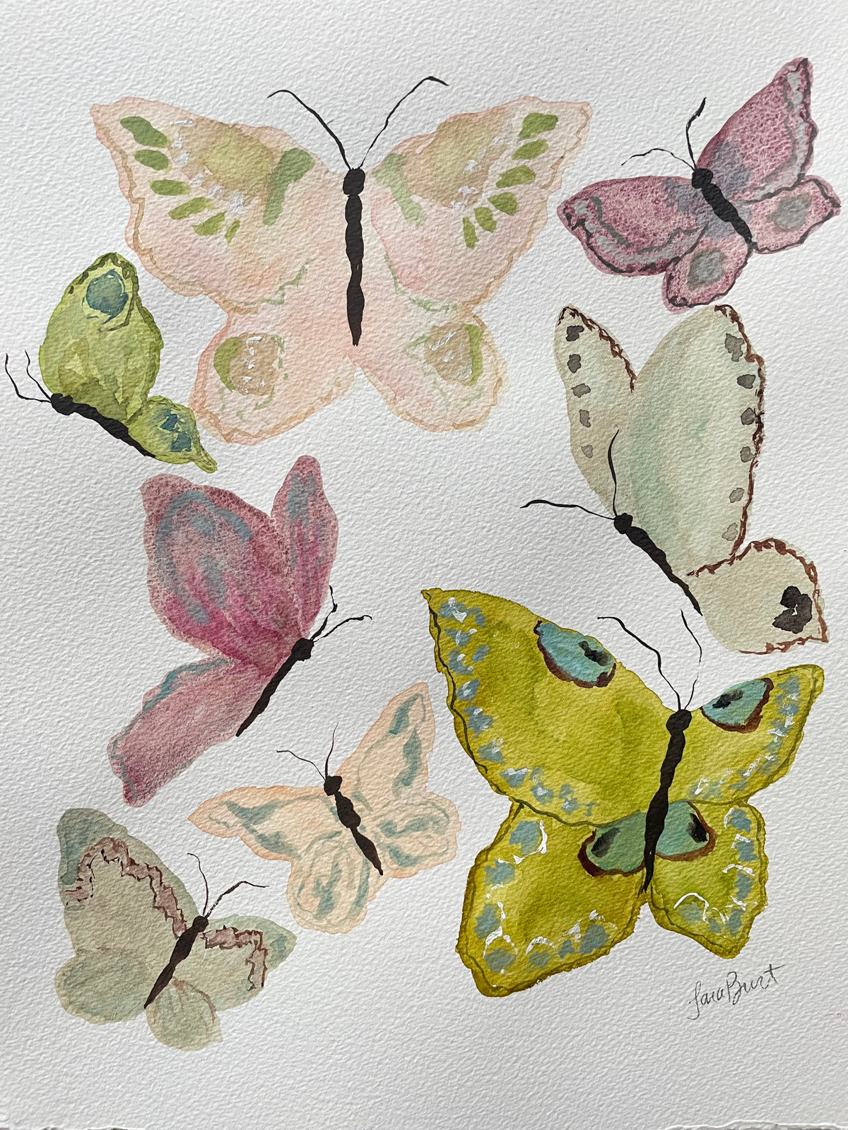 Butterfly Chorus no. 2