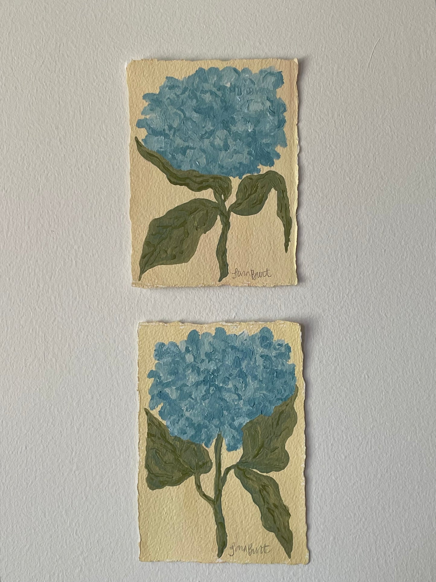 5x7 Blue Hydrangea on butter paper no. 2