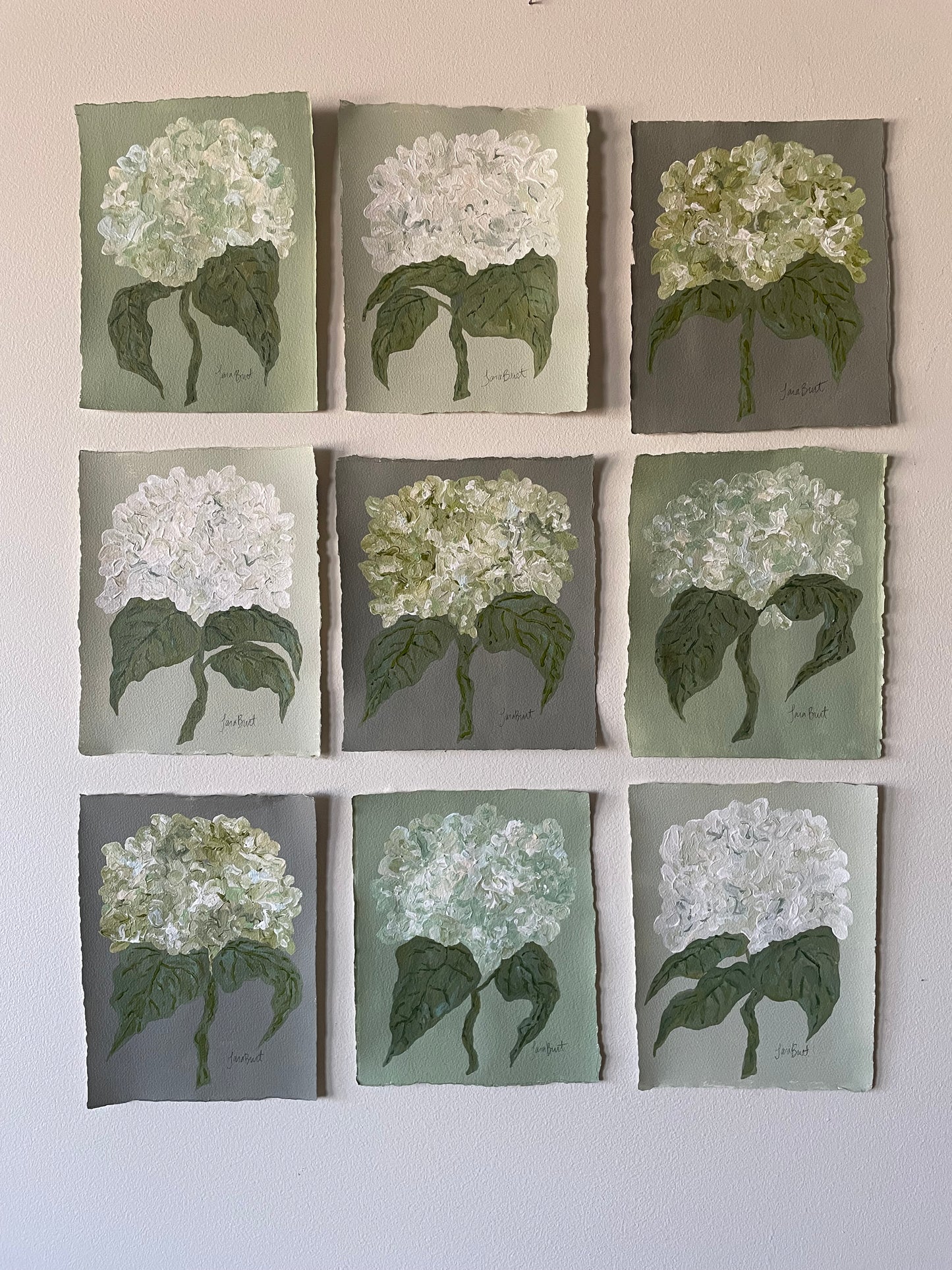 White Blue Green Hydrangea on Green no 1