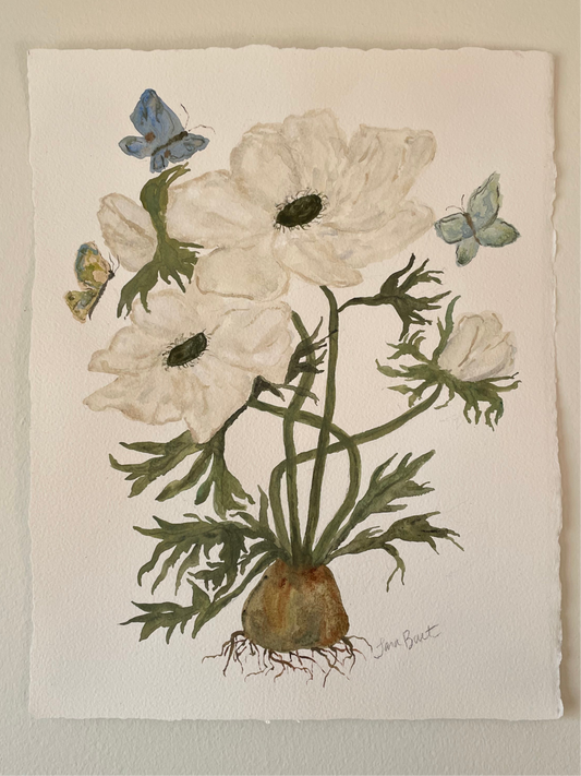 White Anemone Botanical Watercolor Painting