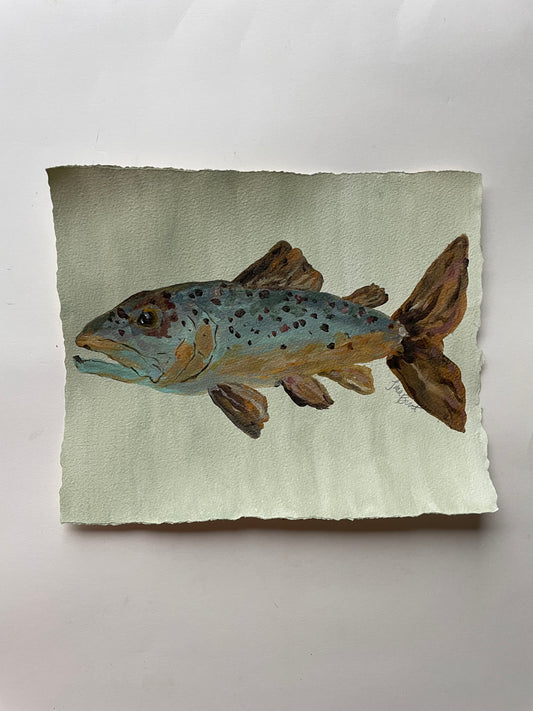 Brown Trout on paper