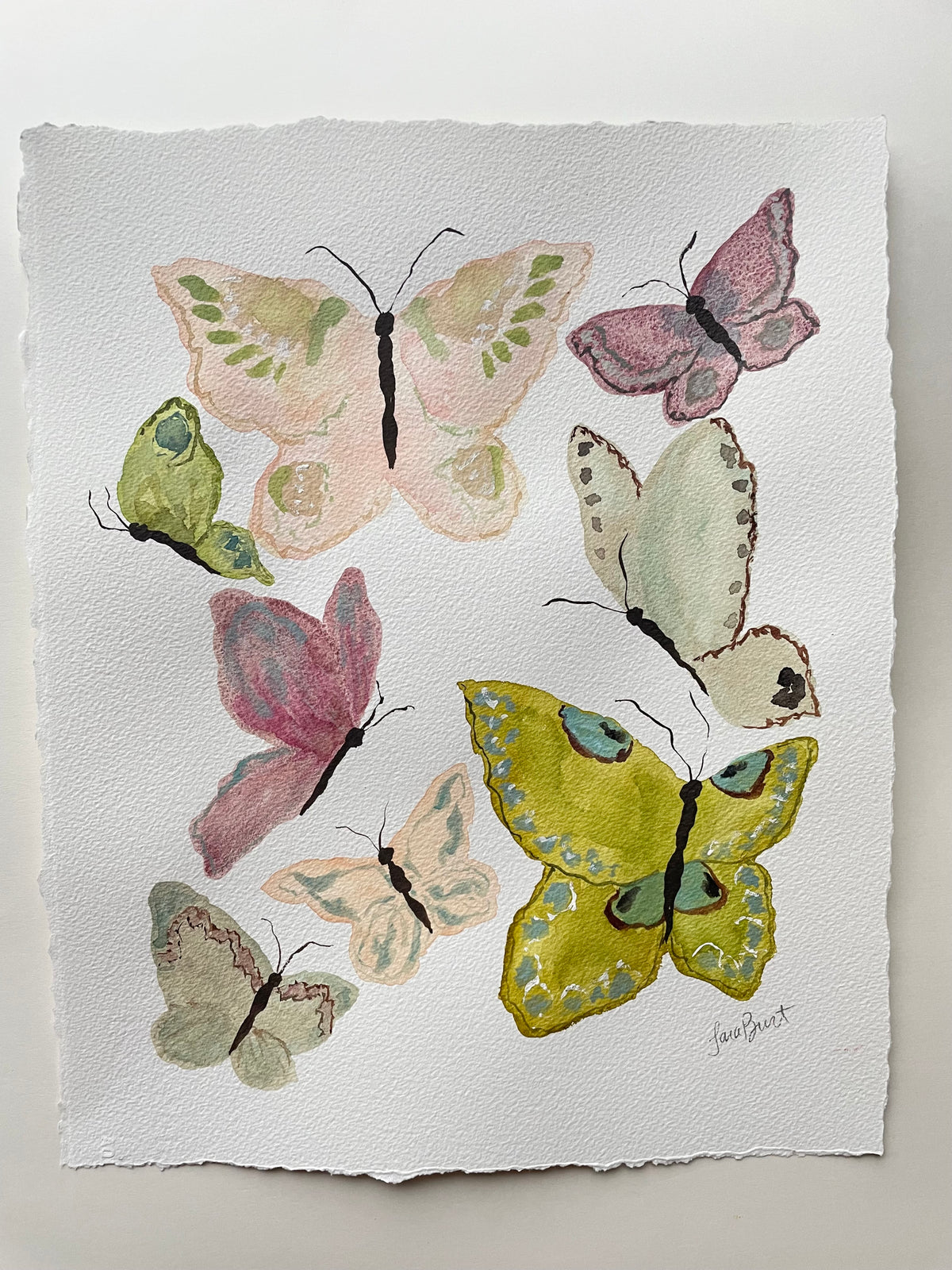 Butterfly Chorus no. 2