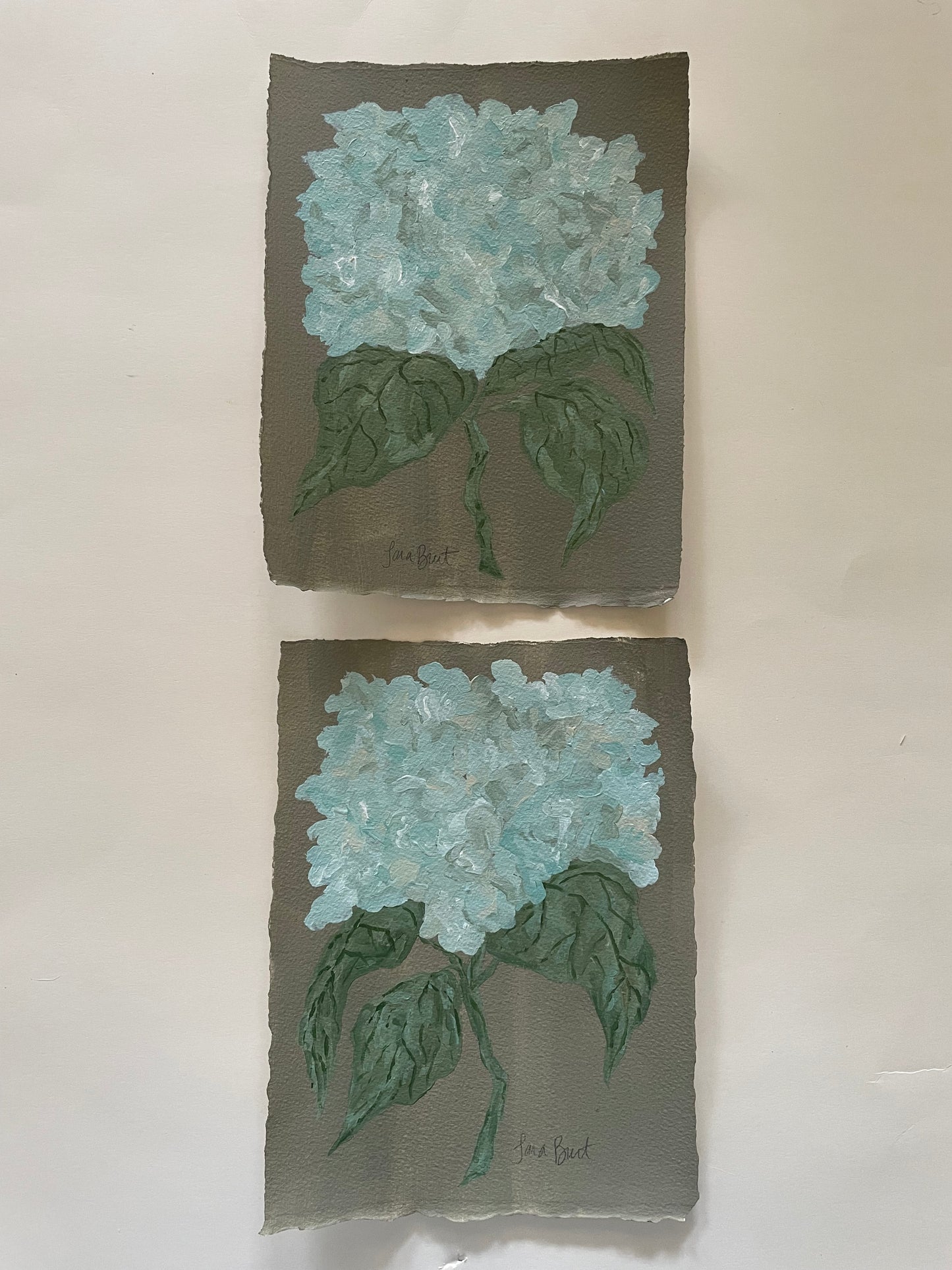 Antique Hydrangea on Earth Green no 2