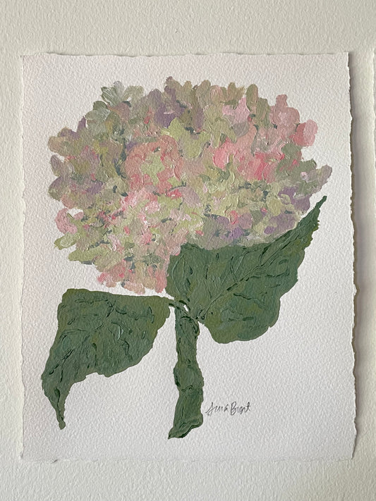 8x10 Pink & Purple Hydrangea on plain paper no. 1