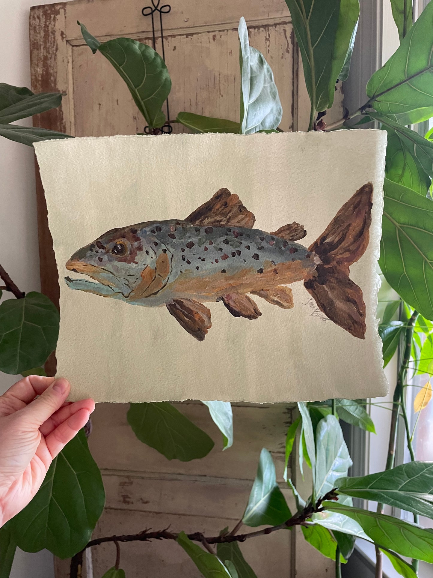 Brown Trout on paper