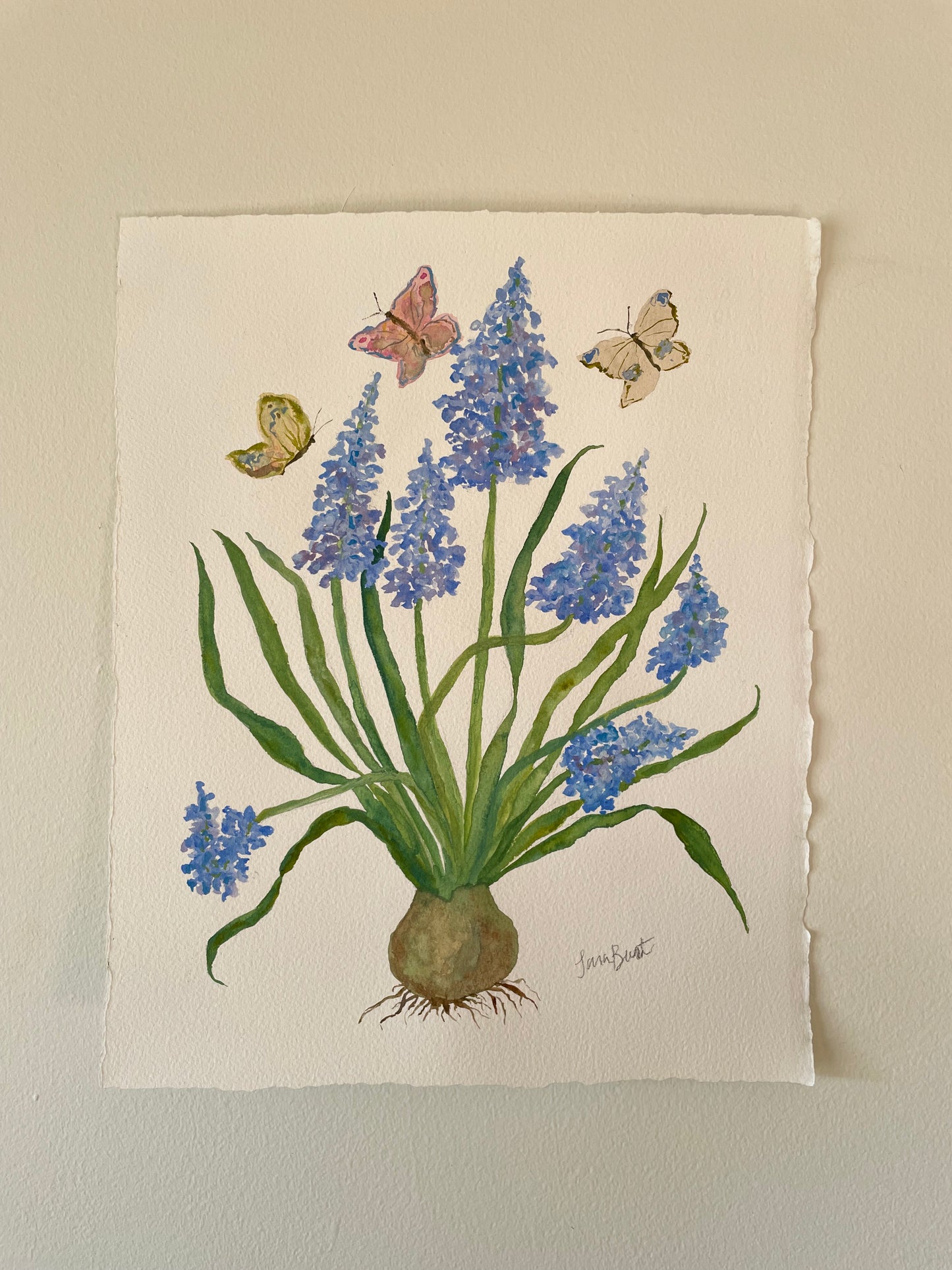 Hyacinth Botanical Watercolor Painting