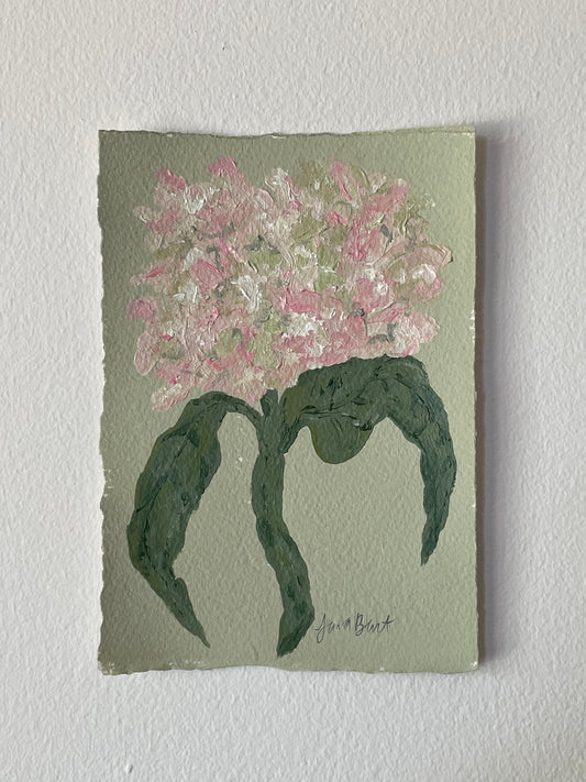 5x7 Pink & Green Hydrangea