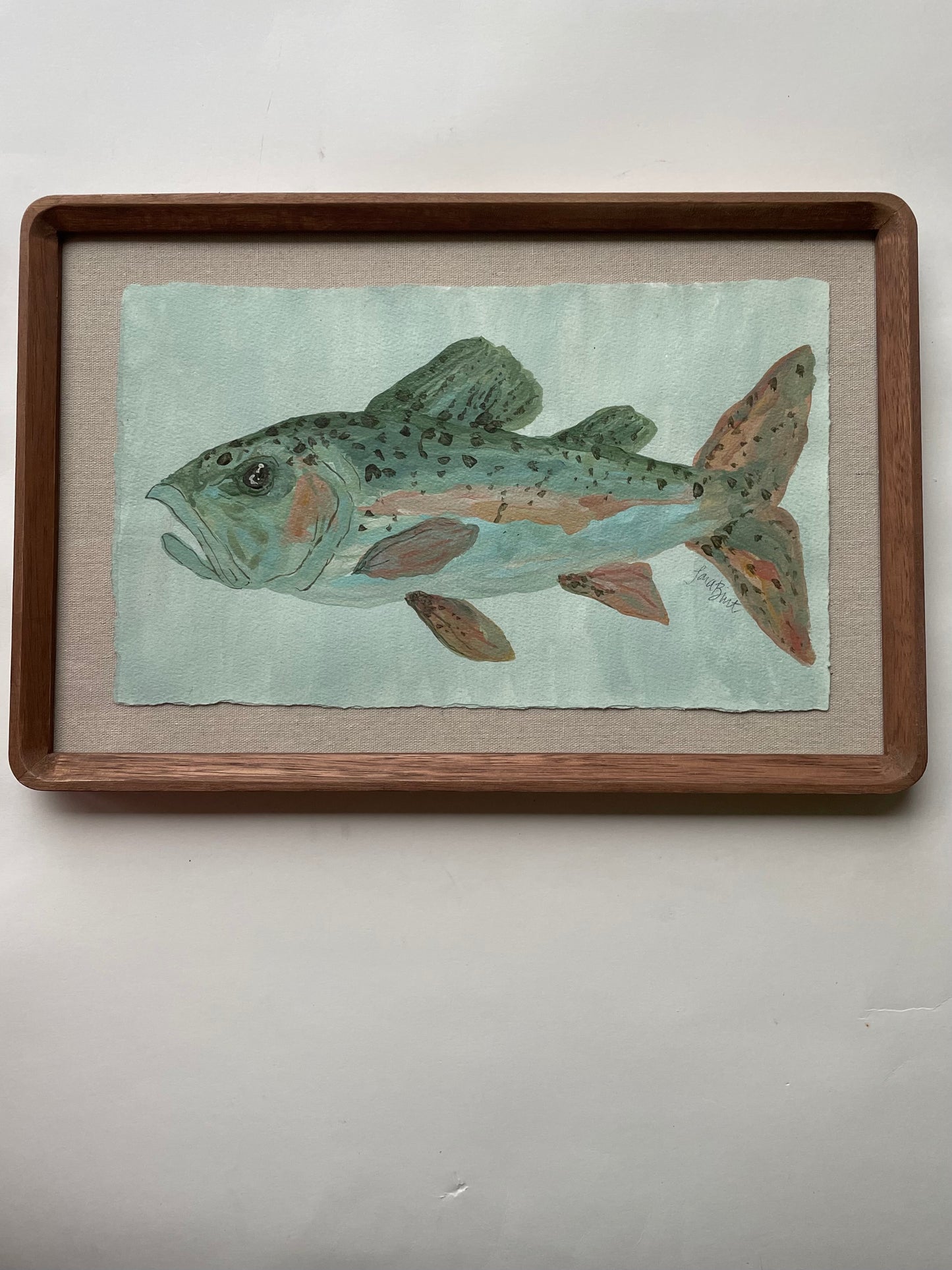 Rainbow Catch