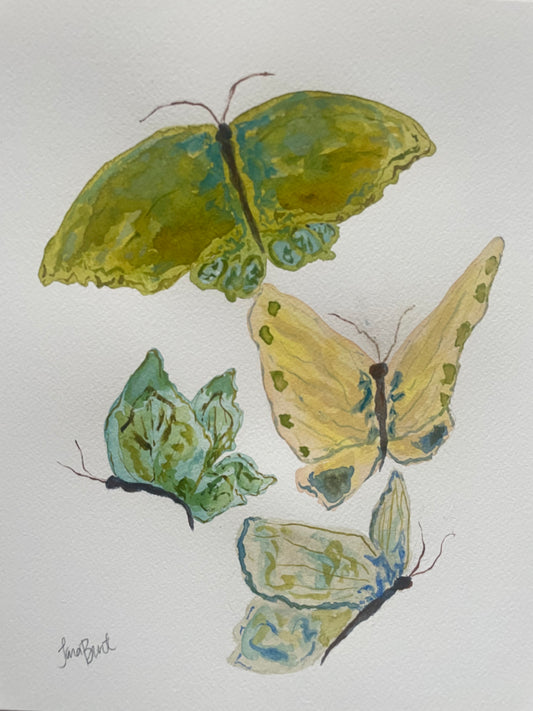 Family of 4 Papillon