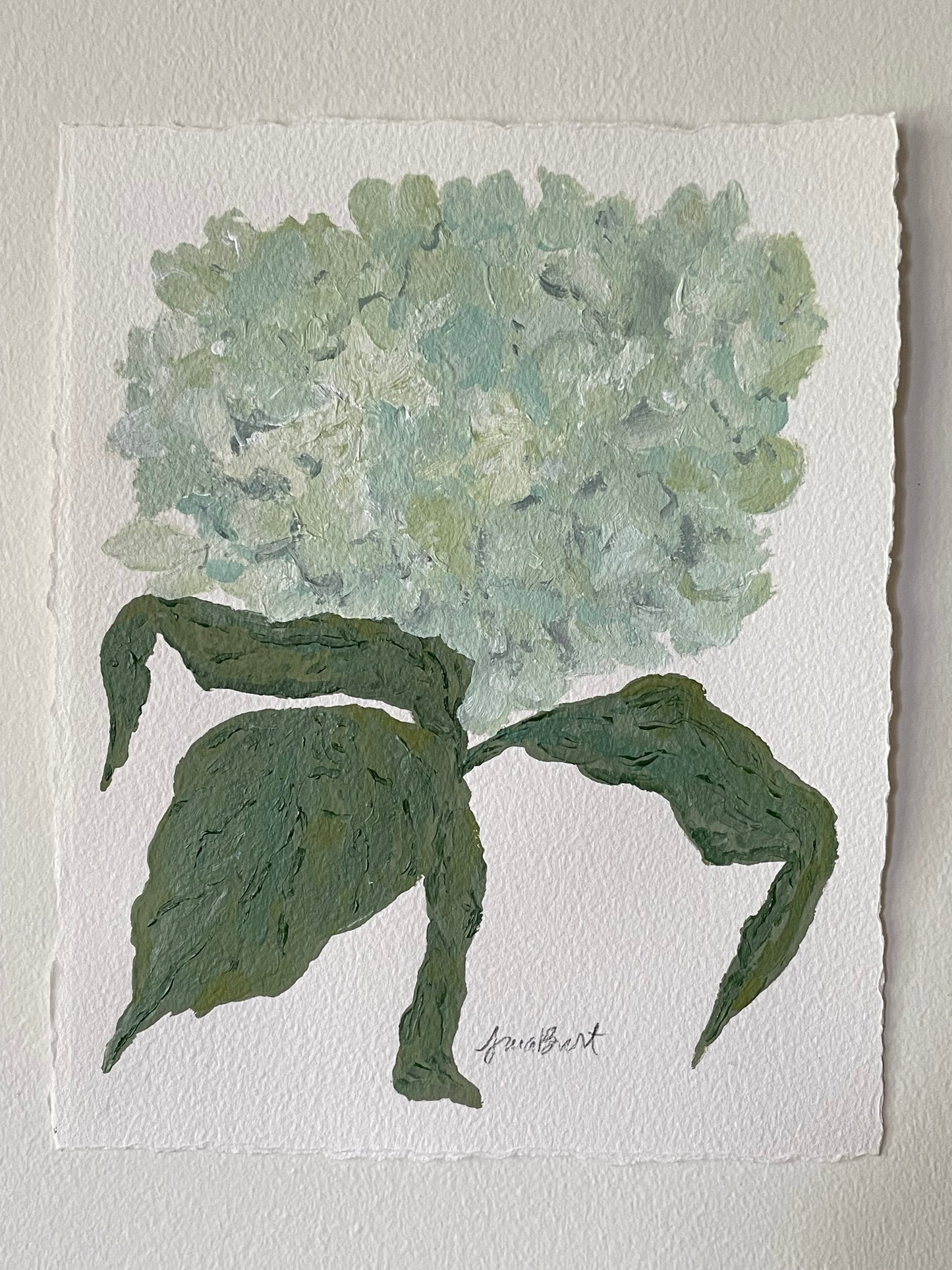 8x10 Soft Blue and Green Hydrangea on plain paper no. 2