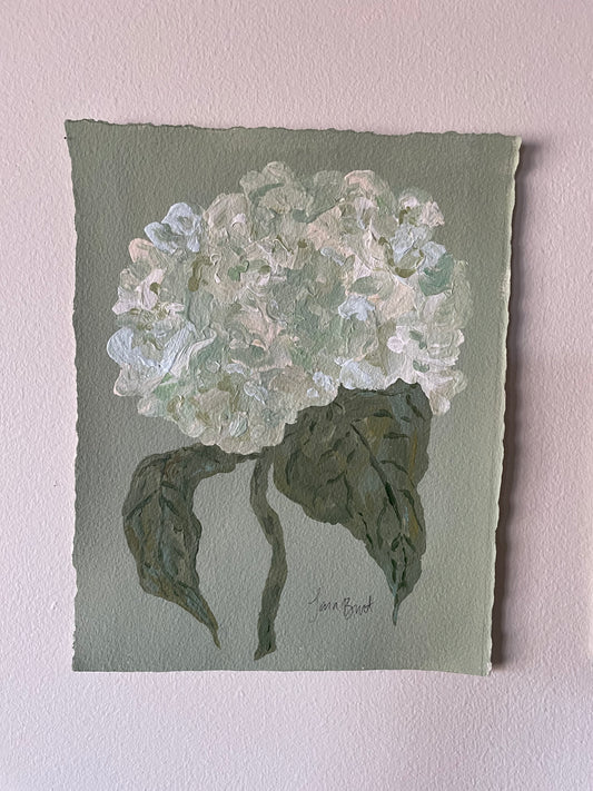 White Blue Green Hydrangea on Green no 1