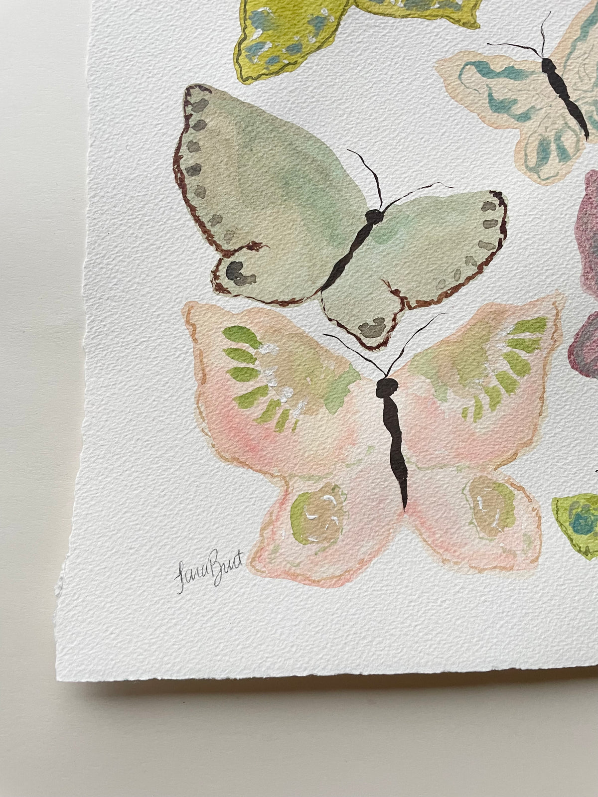 Butterfly Chorus no. 2