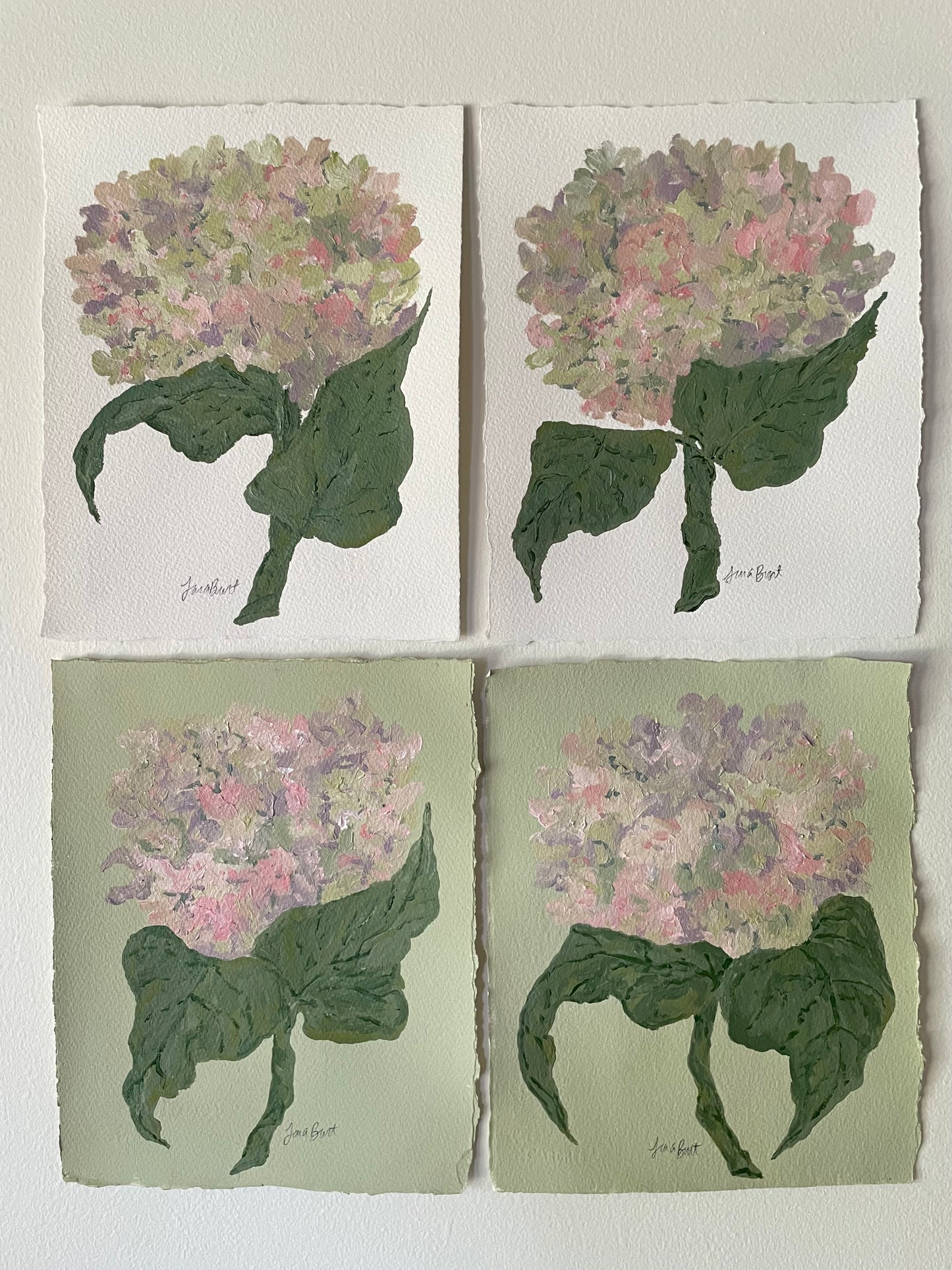 8x10 pink & purple hydrangea on plain paper no. 2
