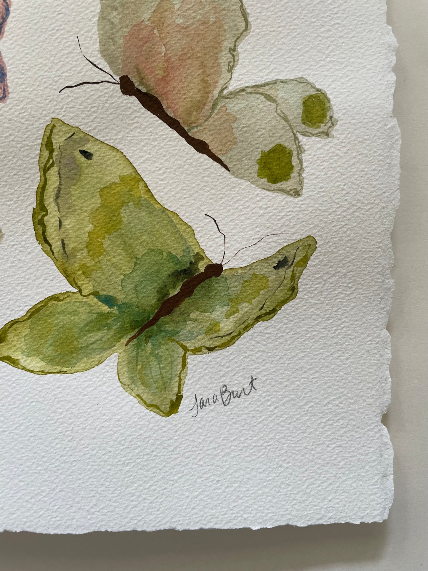 Soft Flutter no. 1