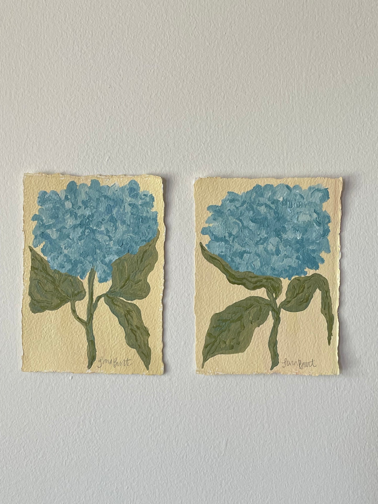 5x7 Blue Hydrangea on butter paper no. 2