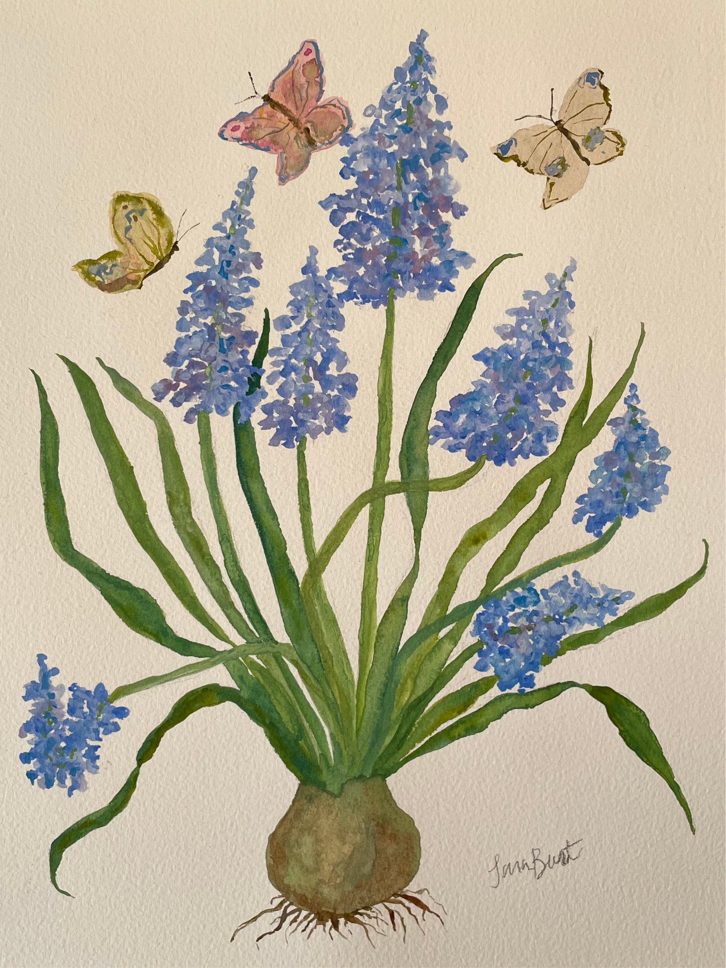 Hyacinth Botanical Watercolor Painting