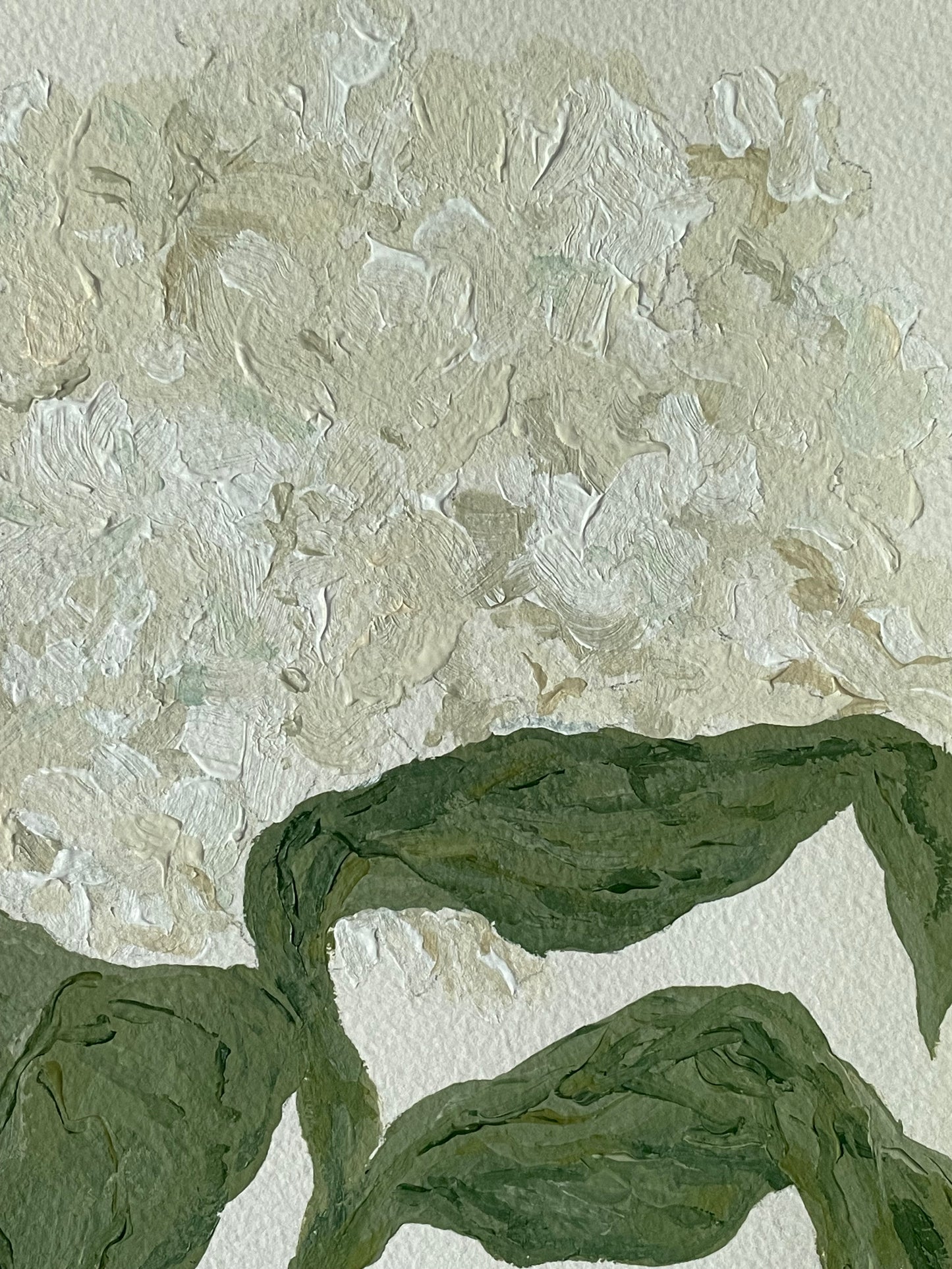 8x10 White Hydrangea on plain paper no. 3