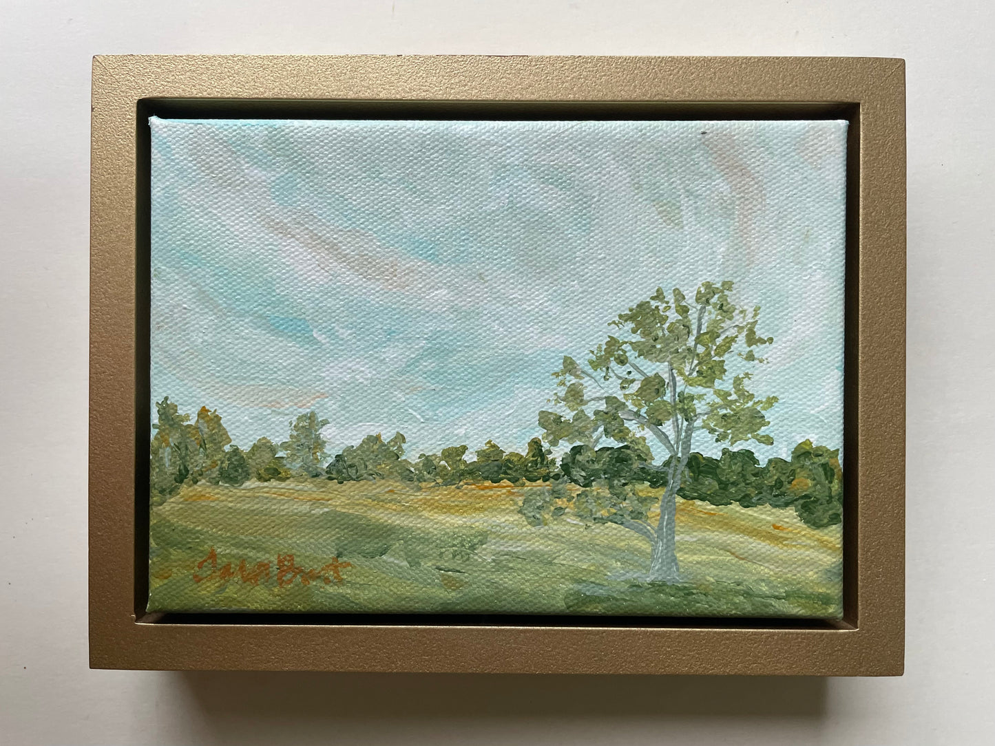 Notes From The Meadow