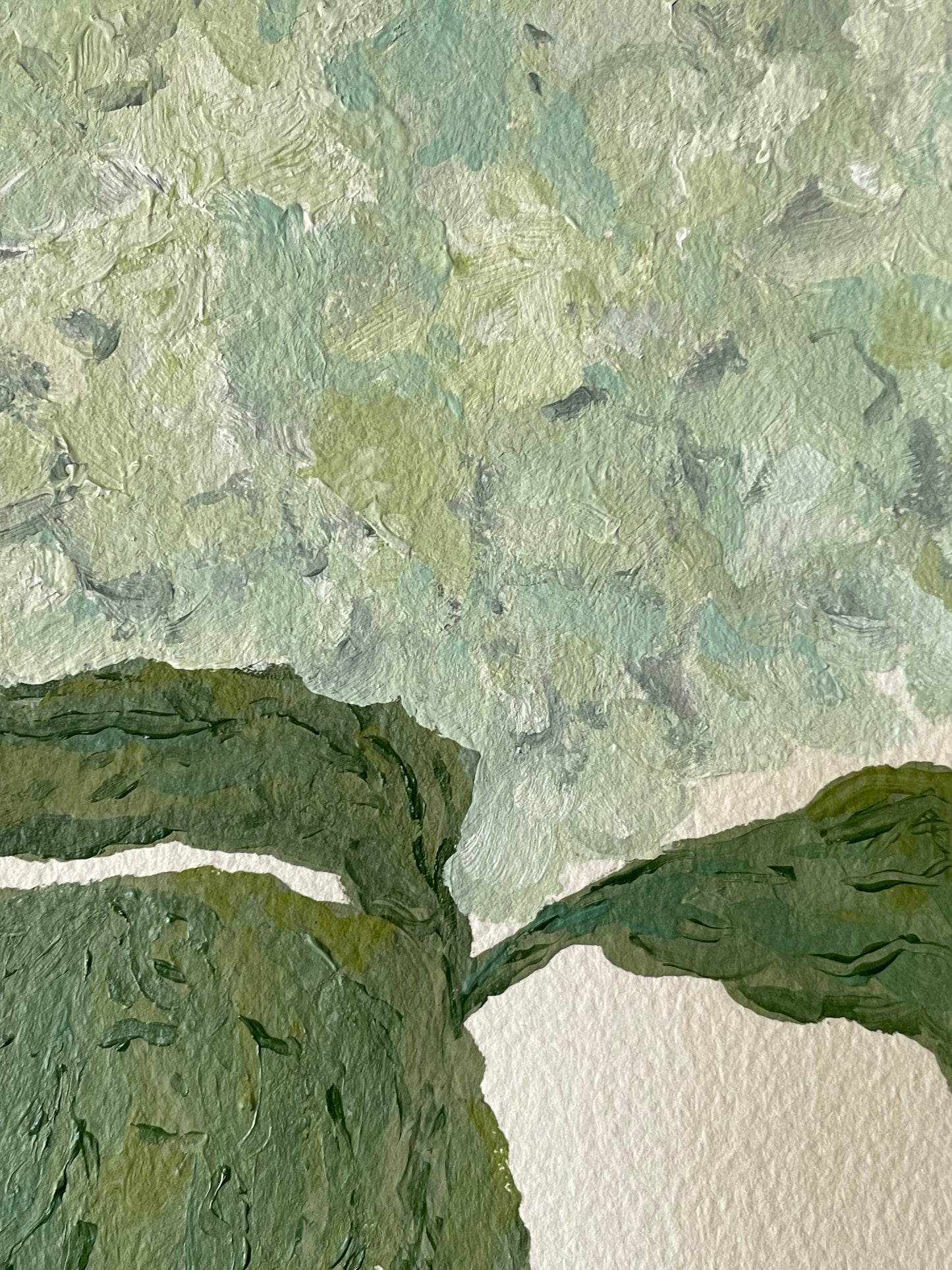 8x10 Soft Blue and Green Hydrangea on plain paper no. 2