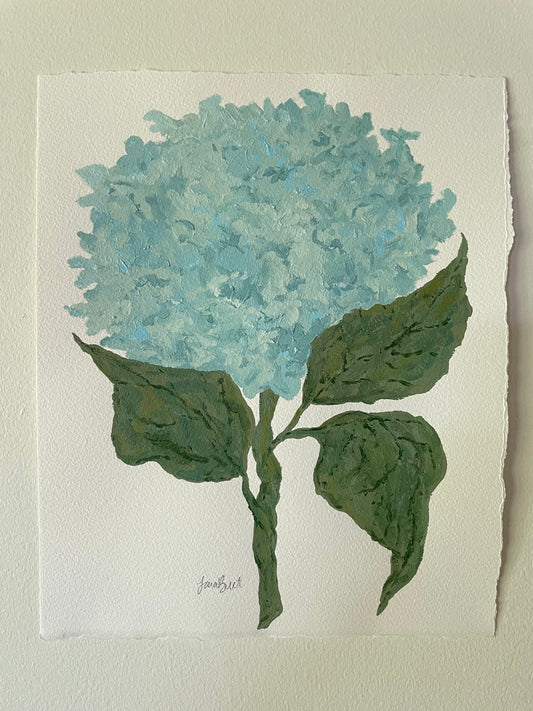 11x14 Blue Hydrangea on plain paper no. 1