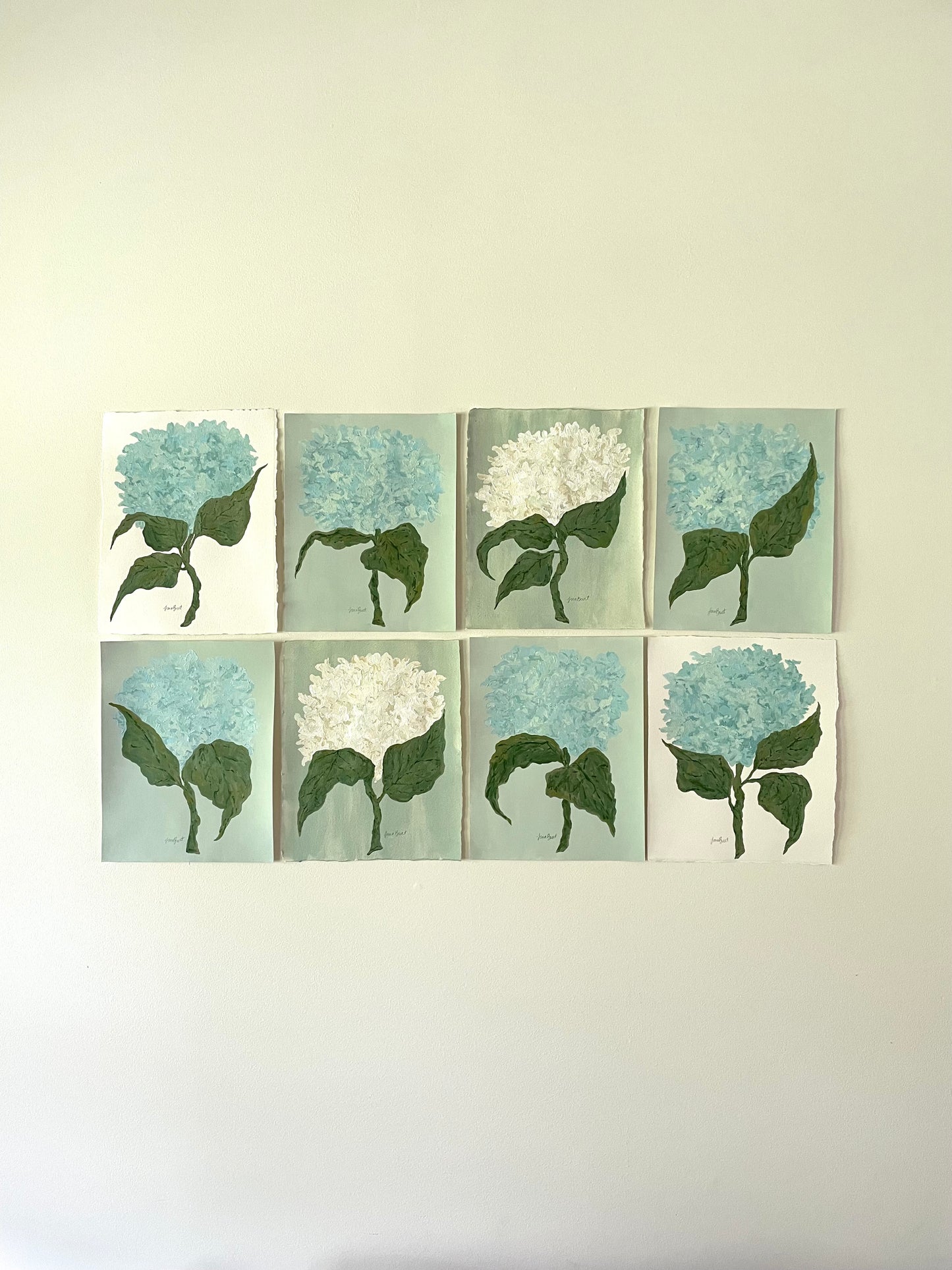 11x14 Blue Hydrangea on blue green paper no. 4
