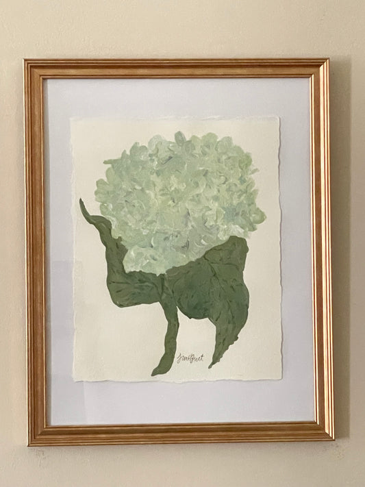 8x10 Soft Blue & Green Hydrangea on plain paper no. 1
