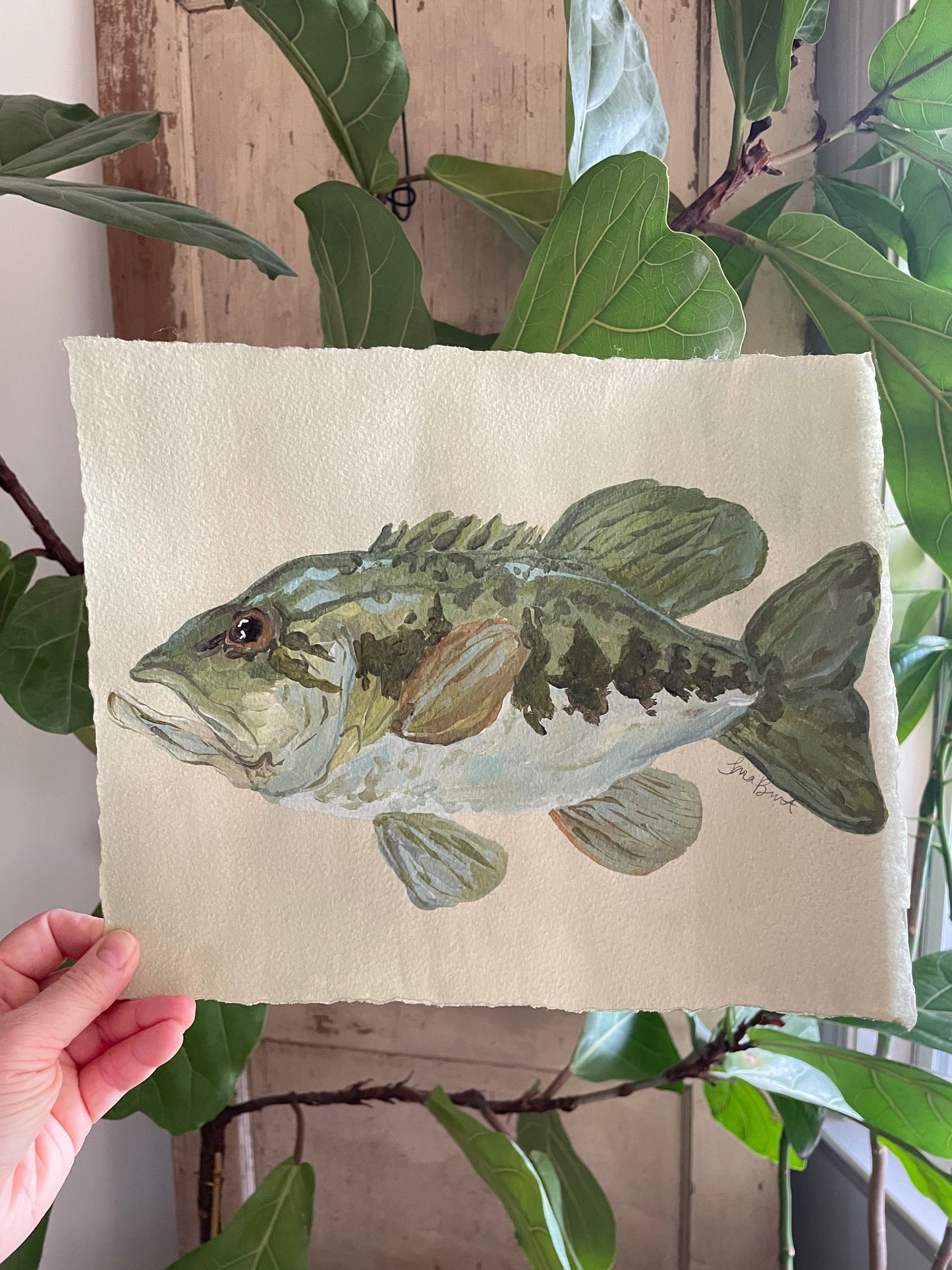 Large Mouth Bass on paper