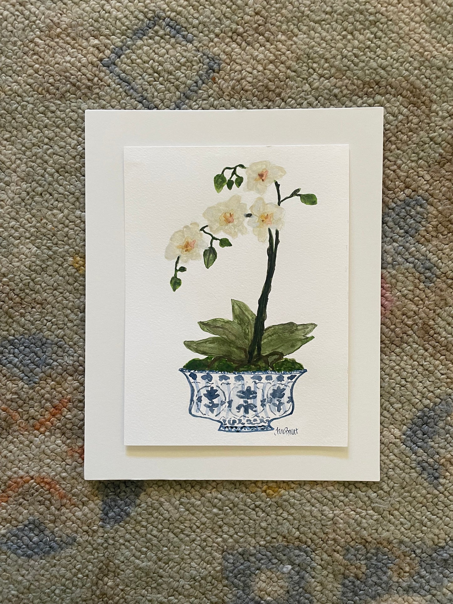 Orchid in Blue & White Bowl